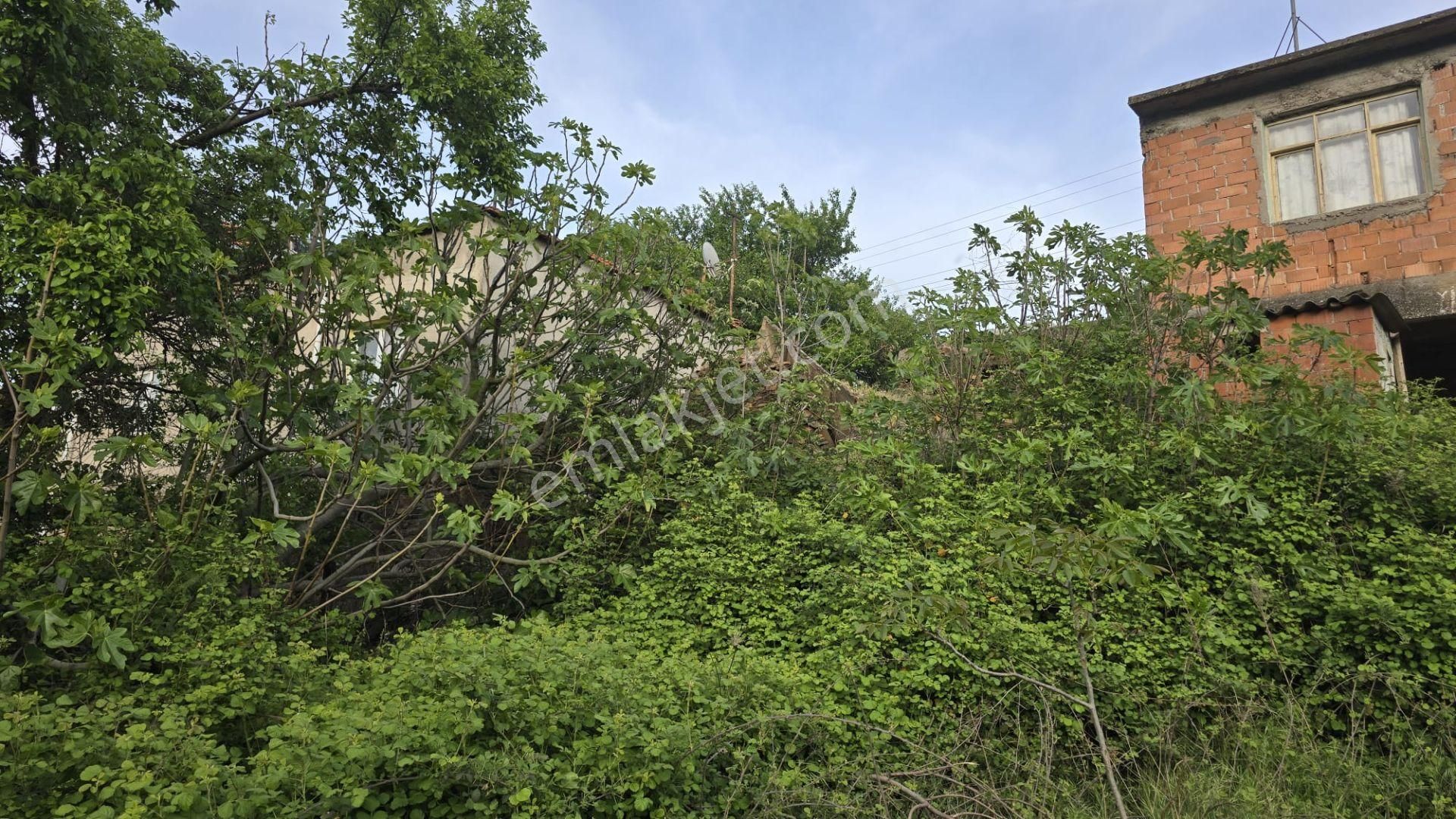 Kemalpaşa Kamberler Mh.köy İçi İmarlı Avlulu Ev %50 İmarlı - Görsel 3