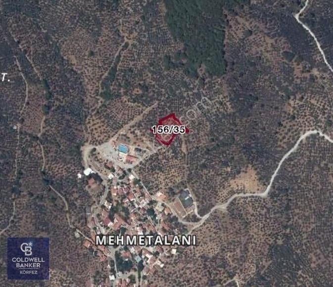 Balıkesir Mehmetalanda Köy İmarına Yakın 2900 M2 Zeytinlik - Görsel 2