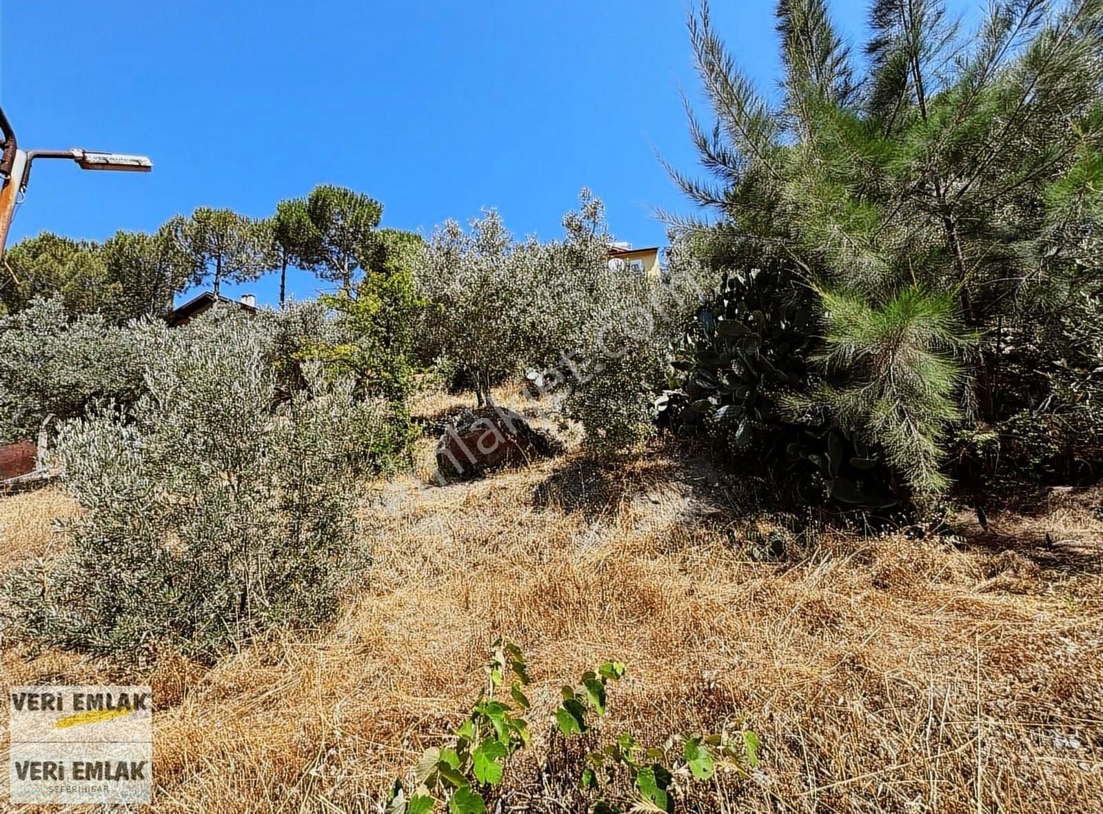 Veri'den Bahçeköy'de 506 M² İkiz Villa İmarlı Arsa! - Görsel 13