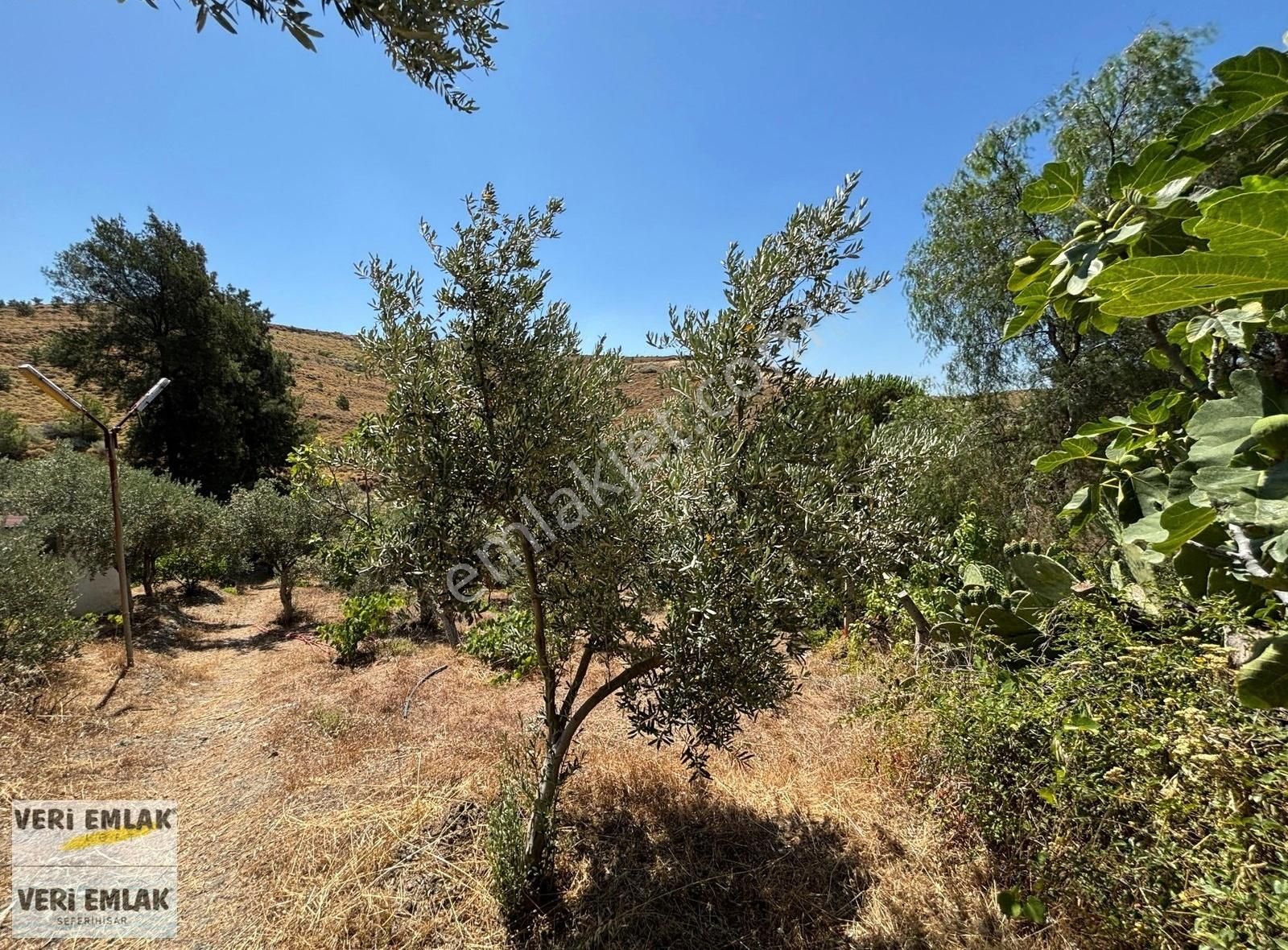 Veri'den Bahçeköy'de 506 M² İkiz Villa İmarlı Arsa! - Görsel 4