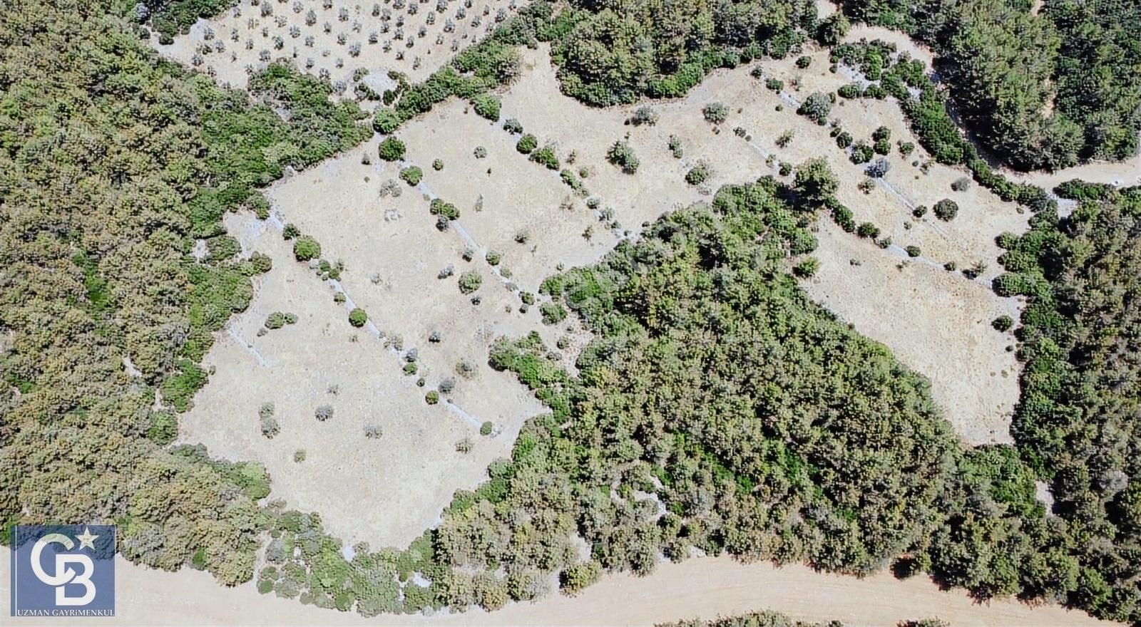 Ula Kızılağaç'ta 3 Parsel 18.500 M2 Satılık Tarla