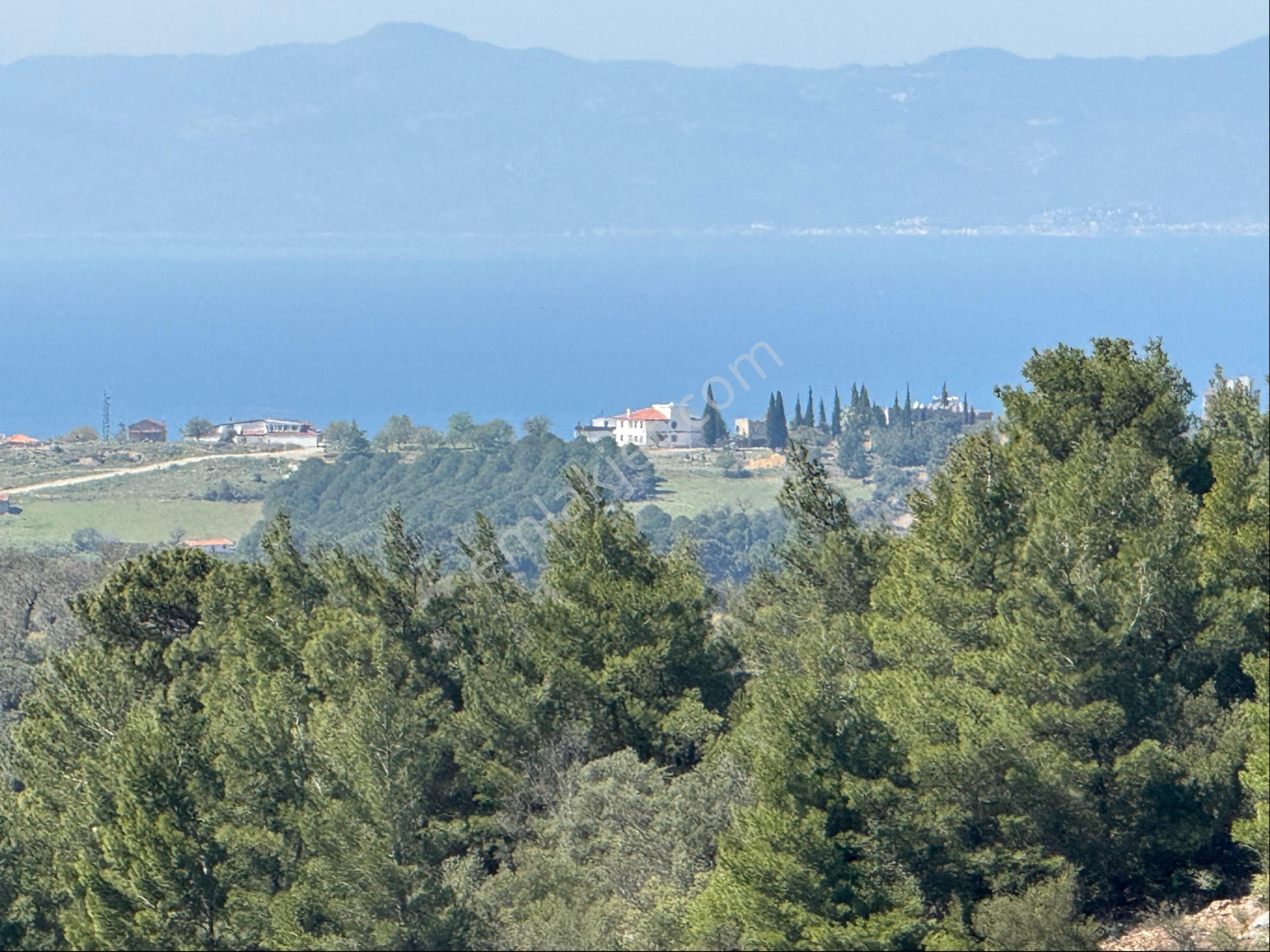 Kuyualan Mah Deniz Manzaralı Zeytinlik