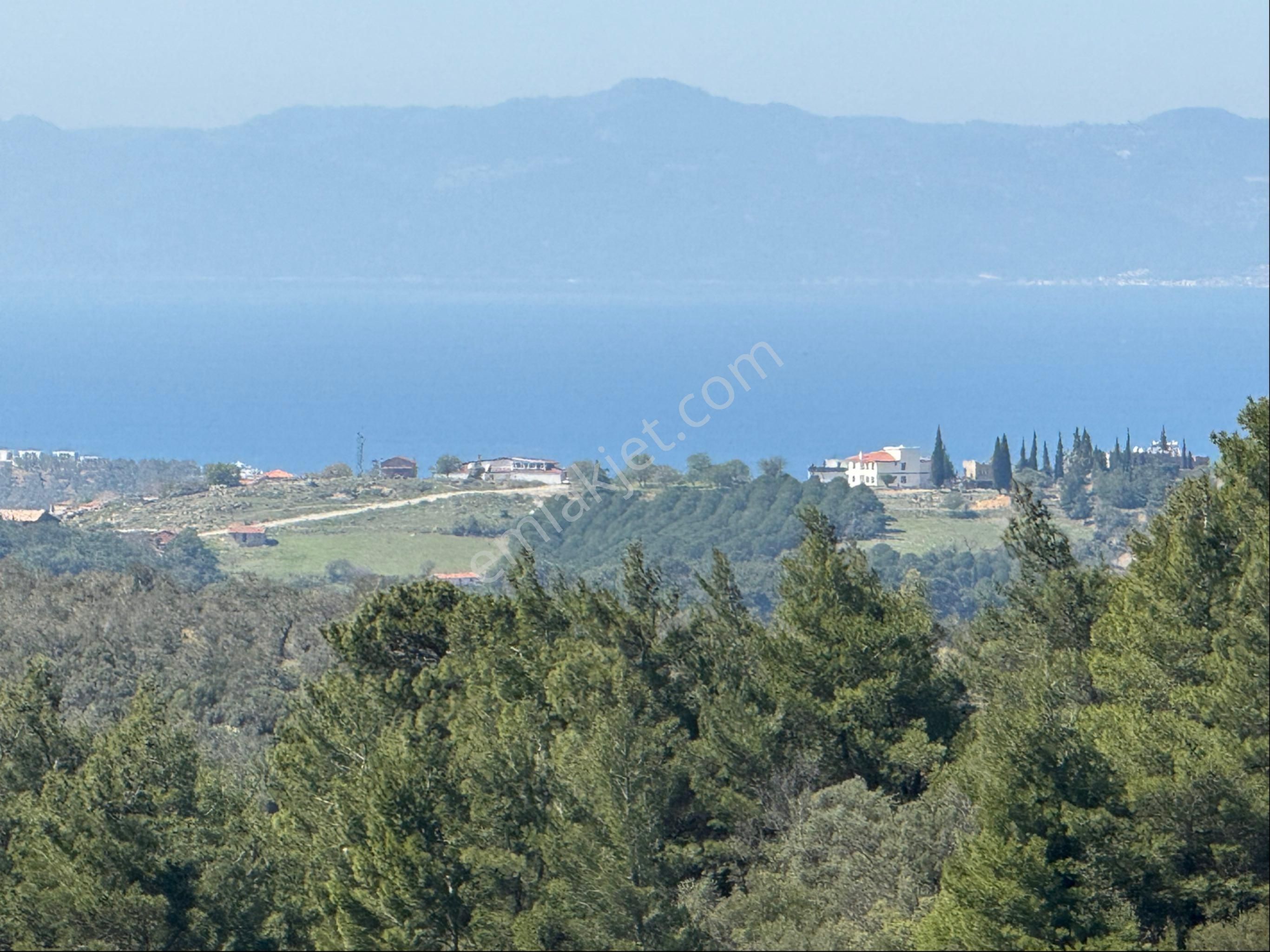 Kuyualan Mah Deniz Manzaralı Zeytinlik - Görsel 3