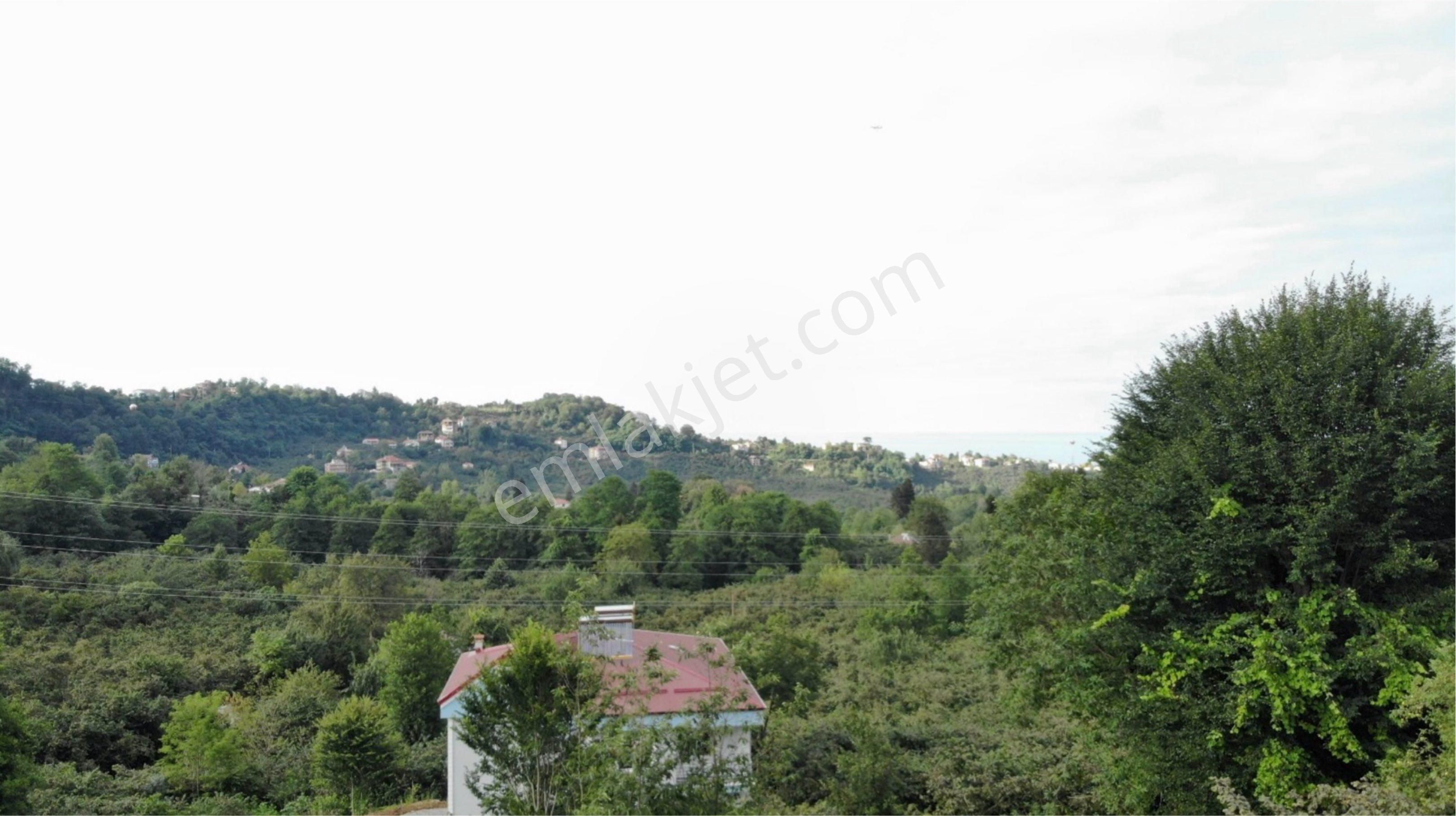 Giresun Kayadibi Emirli Sokakta Deniz Manzaralı İmarlı 595 M2 Tek Tapu