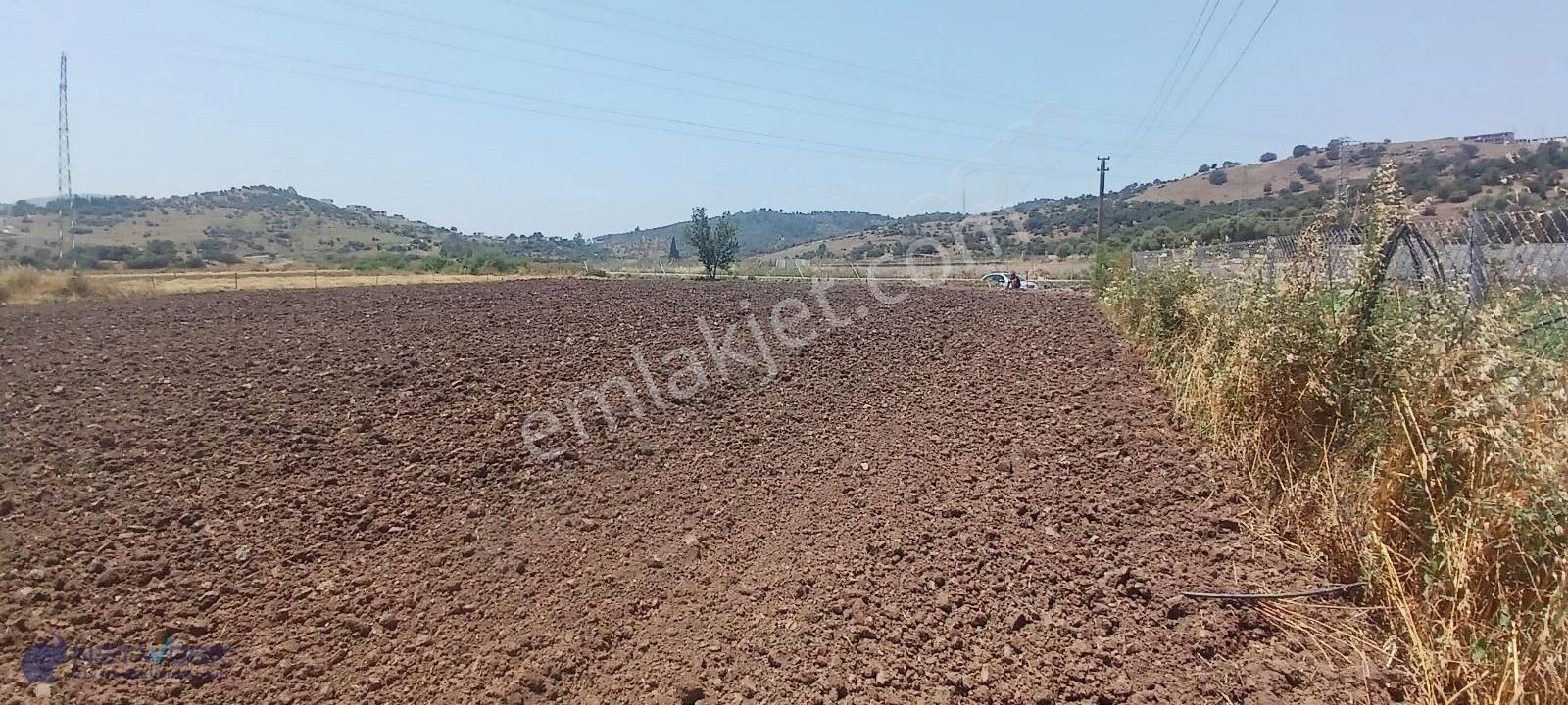 Bodruma Komşu, Meşelikte 10.500 M² Tarla Fırsatı!