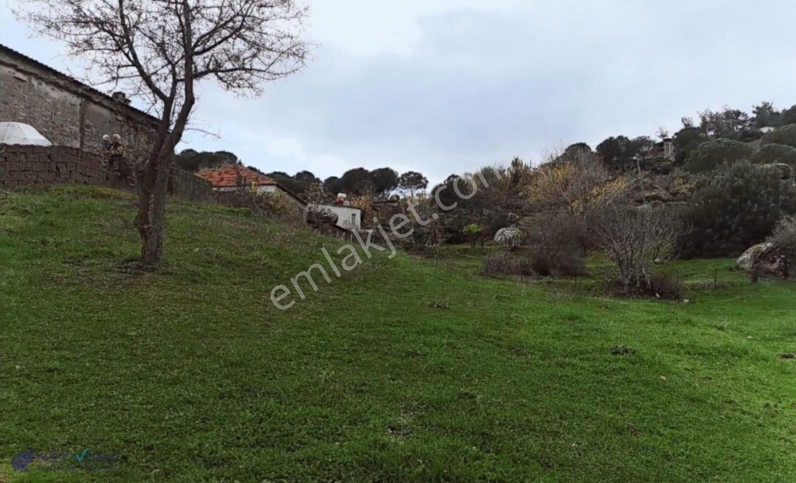 Köy İçi İmarlı, Yaşam Ve Yapılaşmaya Uygun 1406 M2 Satılık Arazi