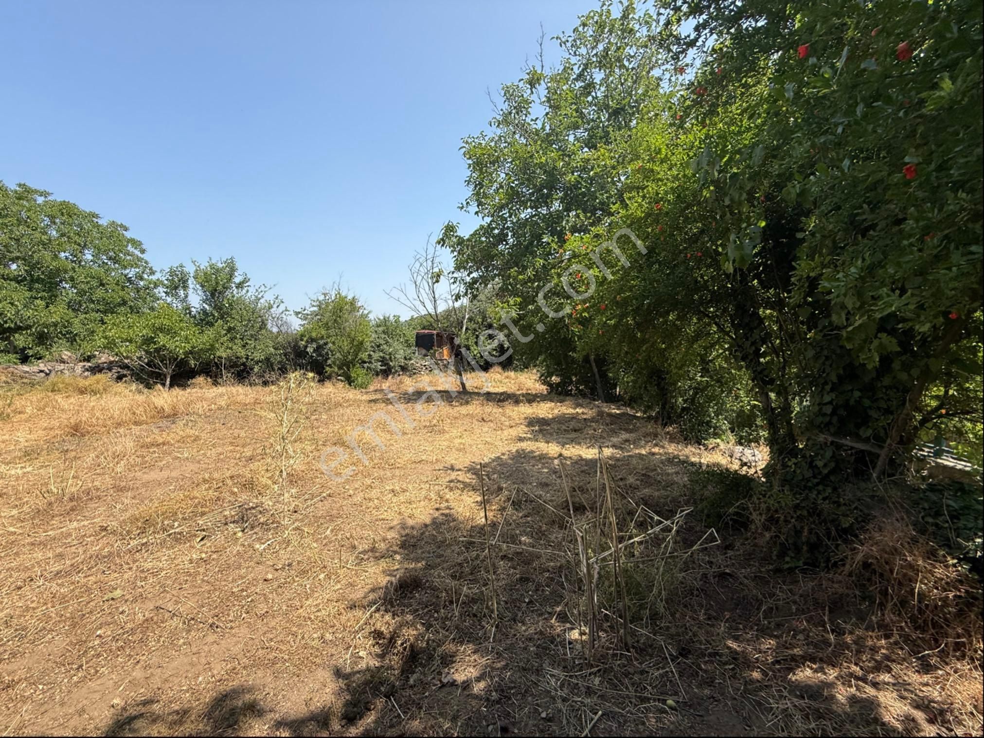 Pek Emlaktan Eğridere De Köyyanı Dere Kenarı İmarlı Bahçe - Görsel 2