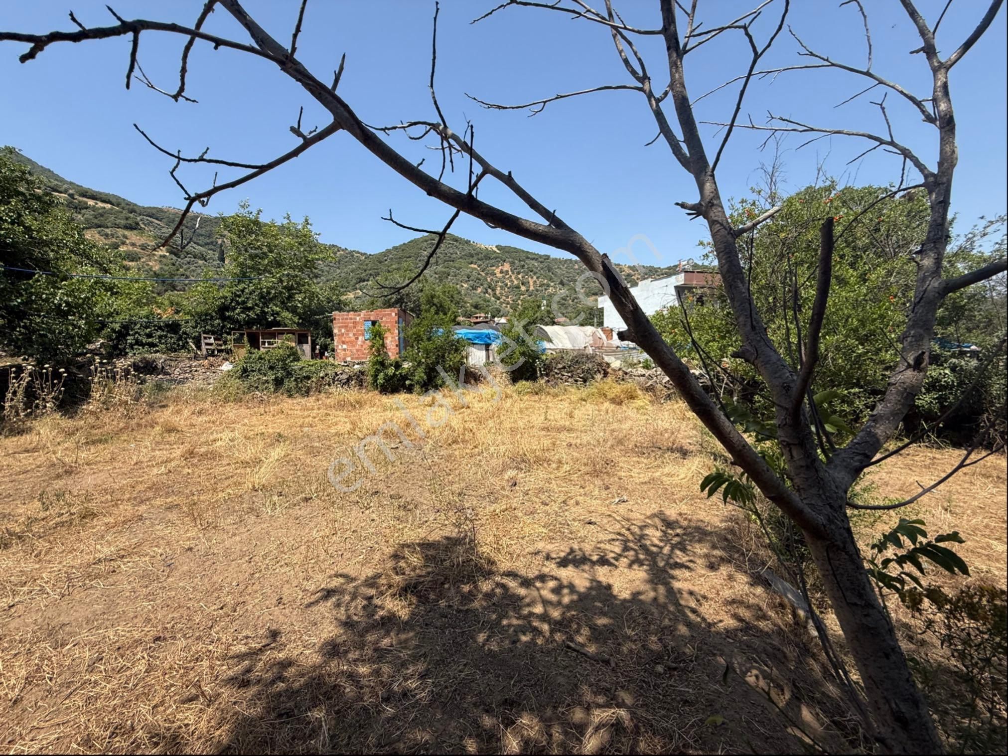 Pek Emlaktan Eğridere De Köyyanı Dere Kenarı İmarlı Bahçe - Görsel 9