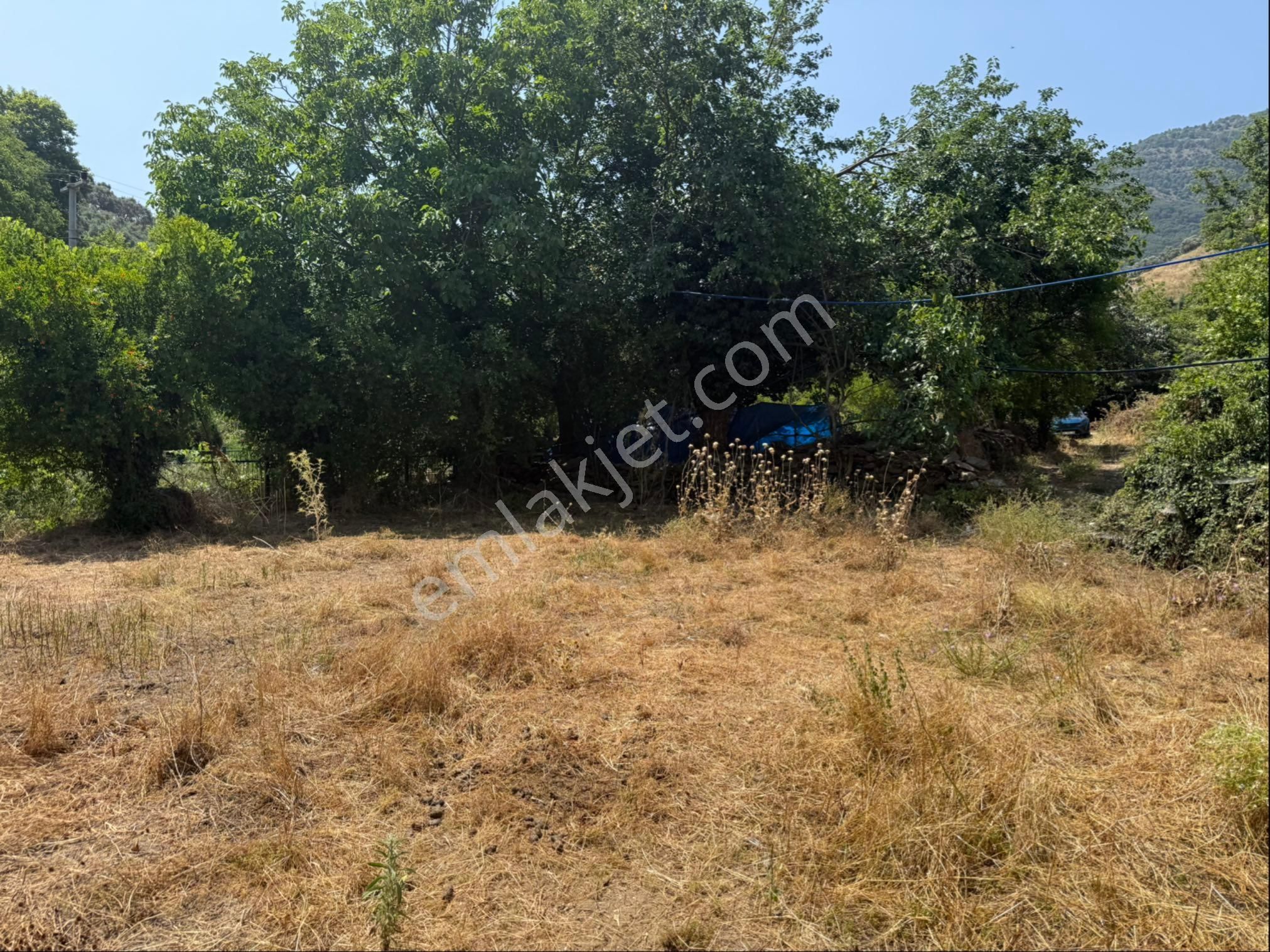 Pek Emlaktan Eğridere De Köyyanı Dere Kenarı İmarlı Bahçe - Görsel 17