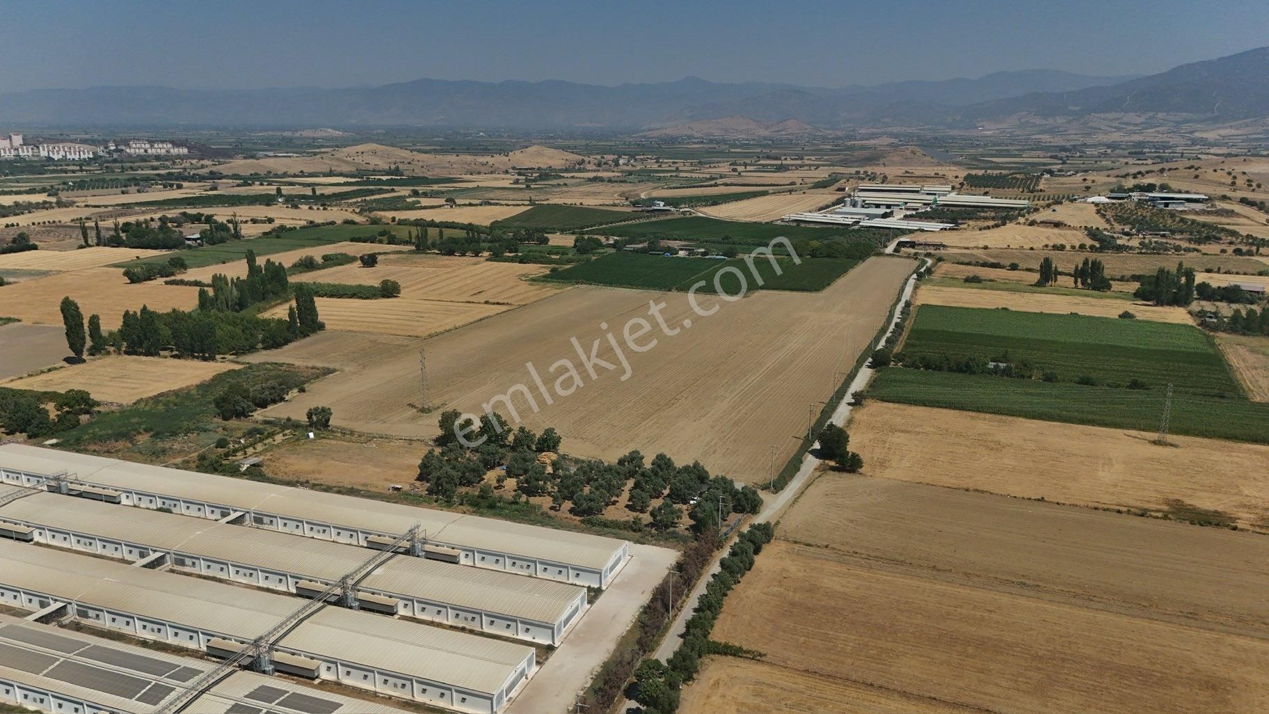 Pek Emlaktan Tire Merkezde 35,000 M2 Satılık Firsat Arazi - Görsel 3