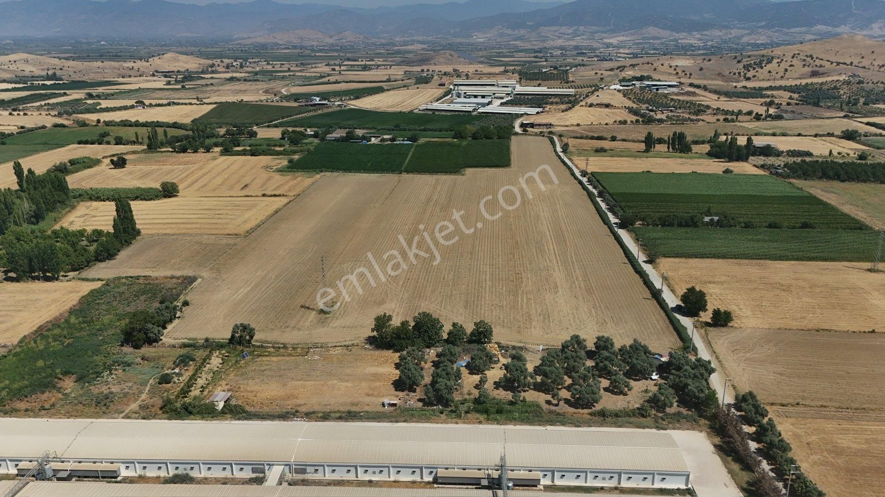 Pek Emlaktan Tire Merkezde 35,000 M2 Satılık Firsat Arazi - Görsel 4