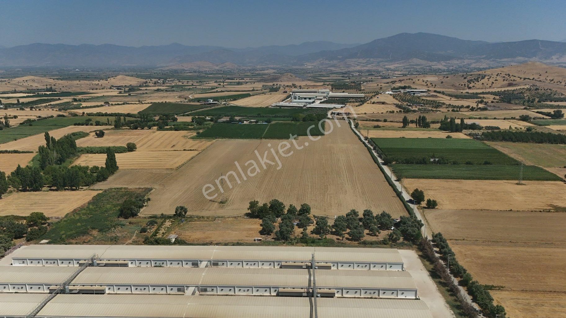 Pek Emlaktan Tire Merkezde 35,000 M2 Satılık Firsat Arazi - Görsel 5