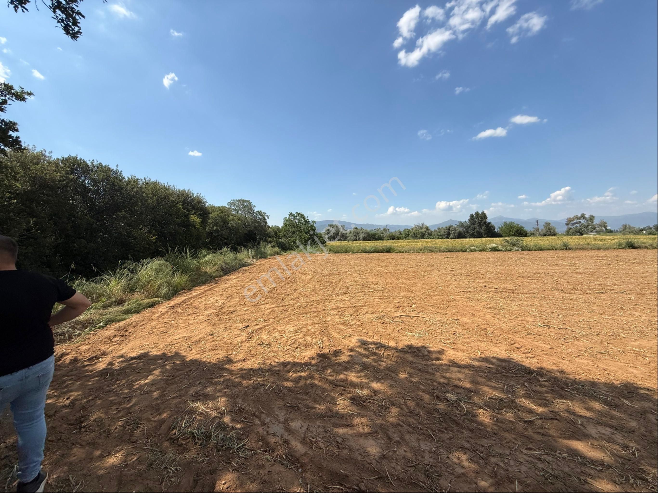 Pek Emlaktan Tire Peşrefli Asfalta 1 Parsel Tektapu 2170m2 Bahçe - Görsel 10