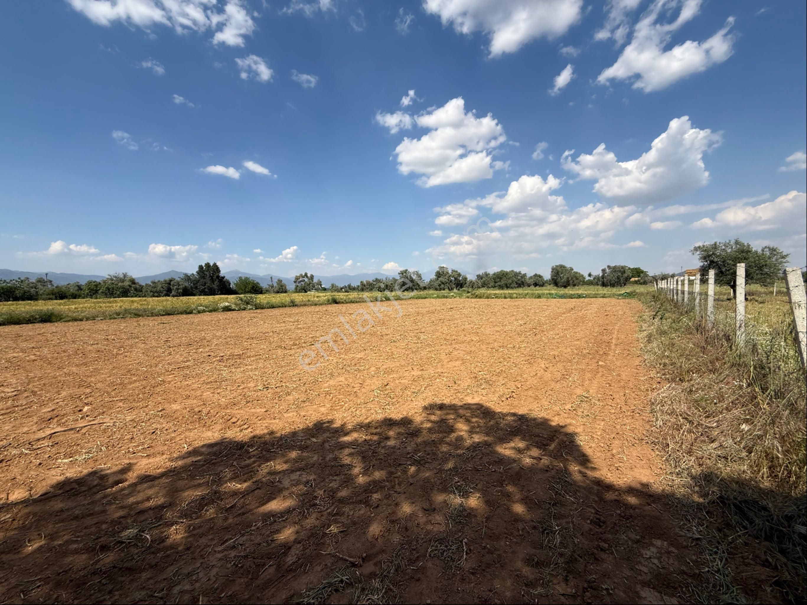 Pek Emlaktan Tire Peşrefli Asfalta 1 Parsel Tektapu 2170m2 Bahçe - Görsel 11