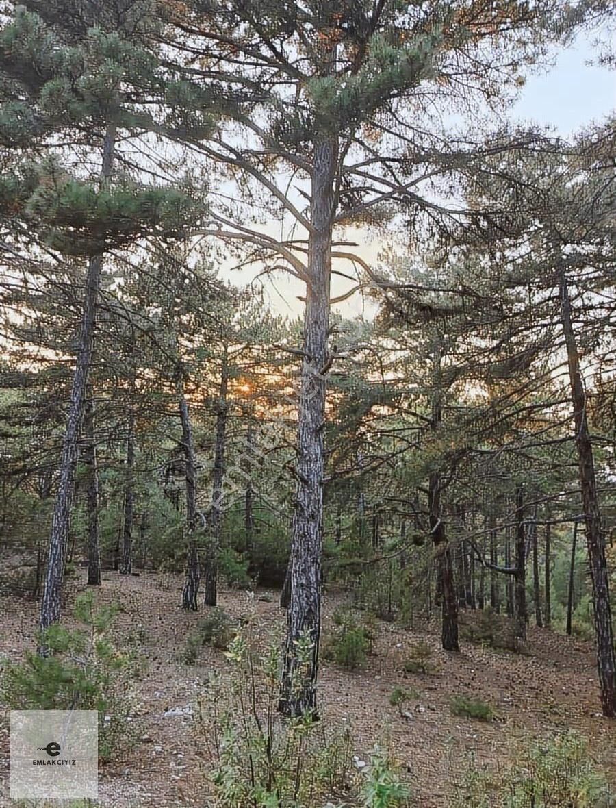 Adliye Yolu Üzeri Ana Yola 40metre Cepheli Arsa Satılıktır.