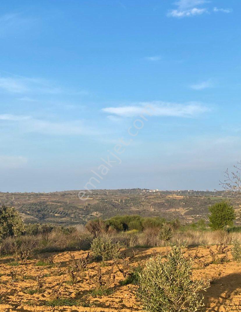 Deniz Manzaralı Yatırımlık Arazi - Görsel 6