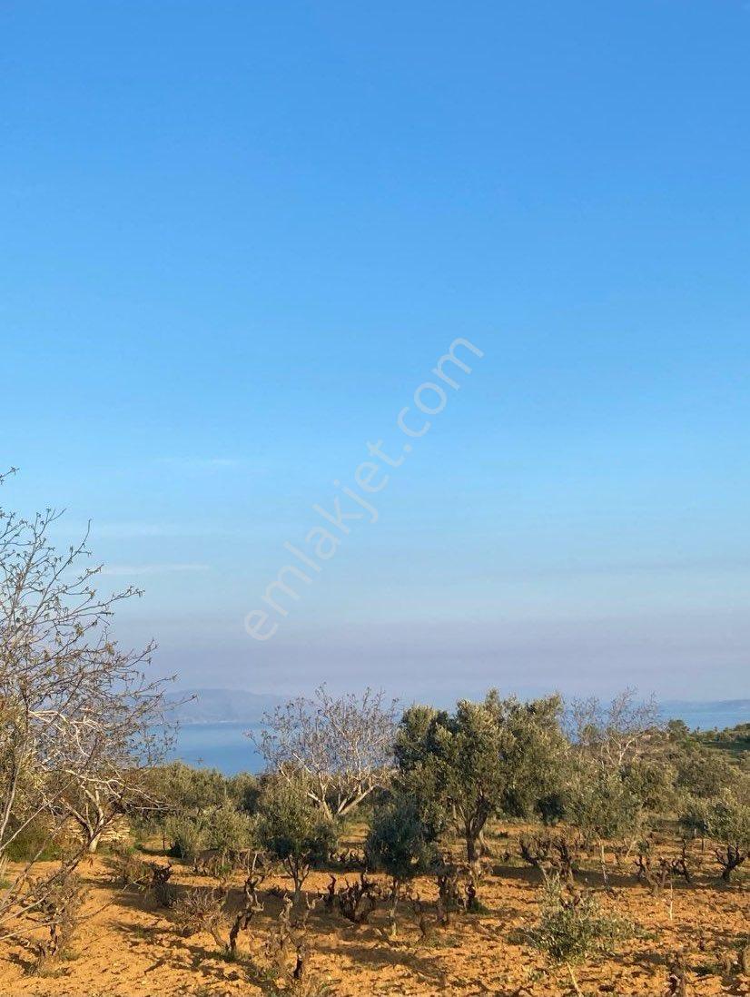 Deniz Manzaralı Yatırımlık Arazi - Görsel 3