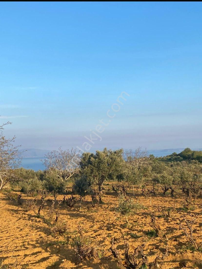 Deniz Manzaralı Yatırımlık Arazi