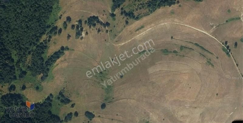 Alaçamda Fırsat Yatırım Tek Tapu Satılık 2003m2 Tarla