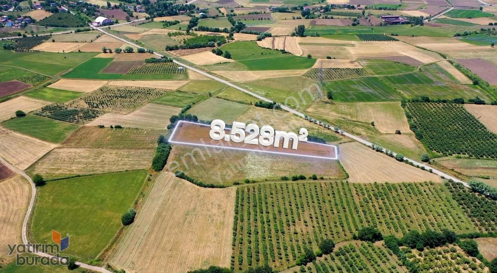 Emsalsiz Tekkeköy 8528m2 Satılık Tarla Candal Tesislerine 500m