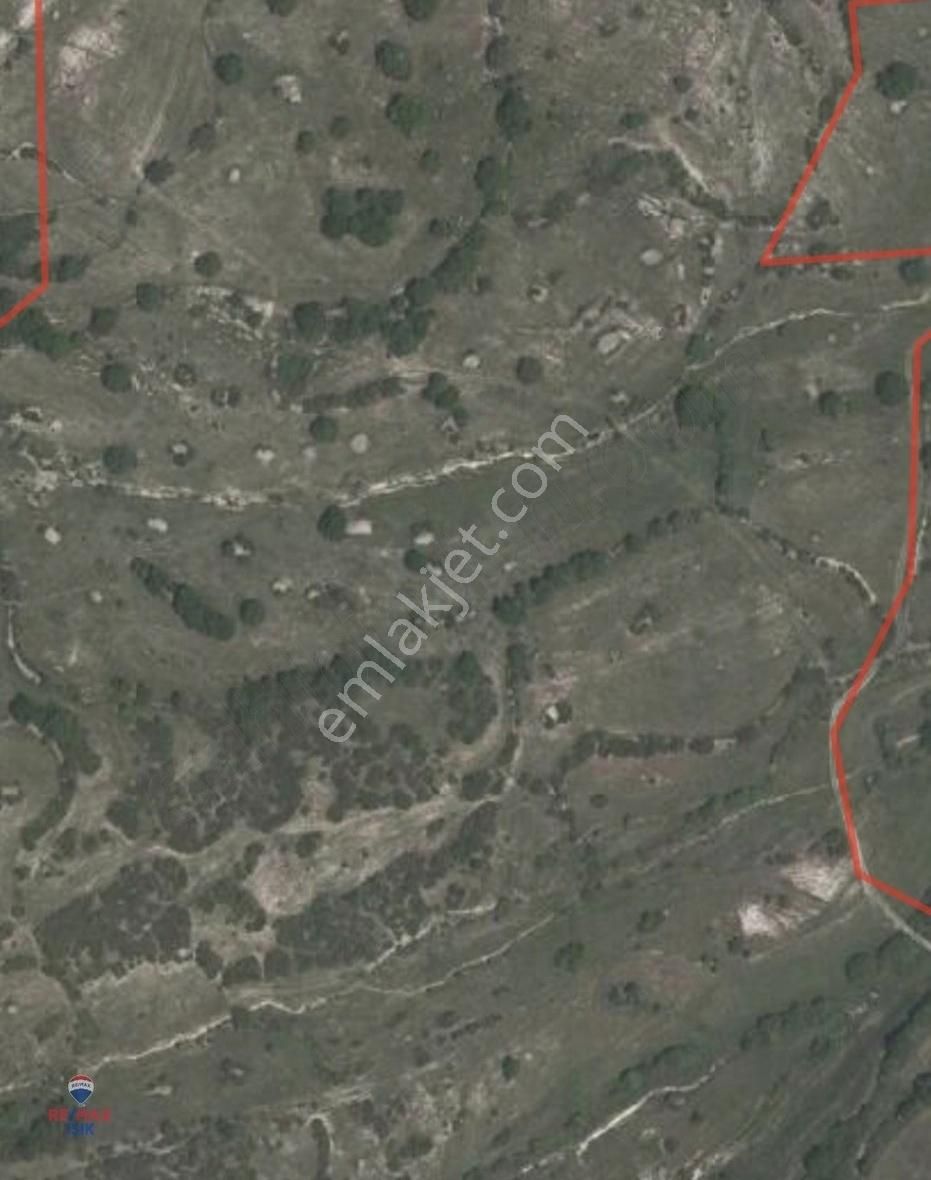 Kocaeli Kandıra Selametlide Satılık Tarla
