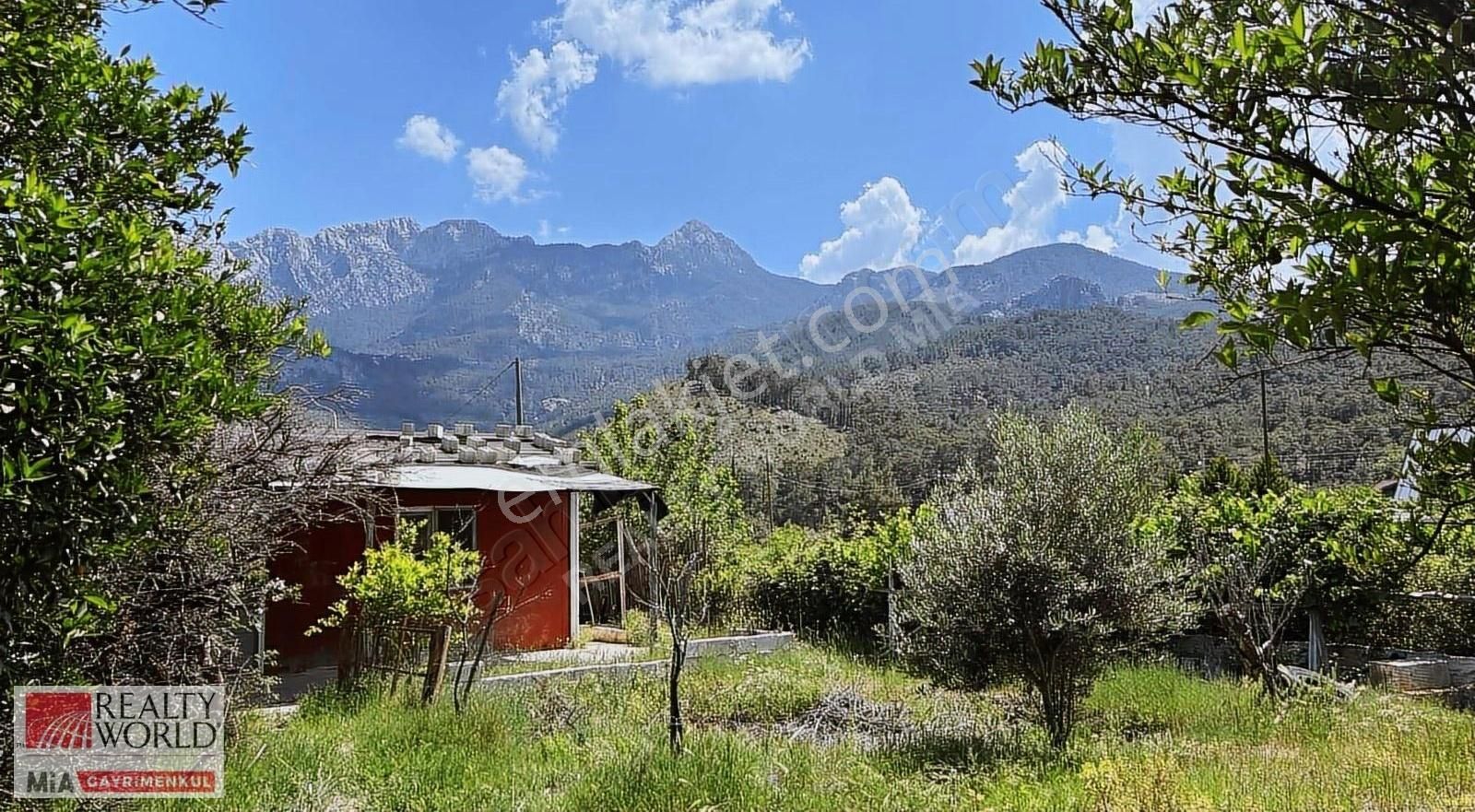 Hacısekililer'de Manzaralı Portakal Bahçesi
