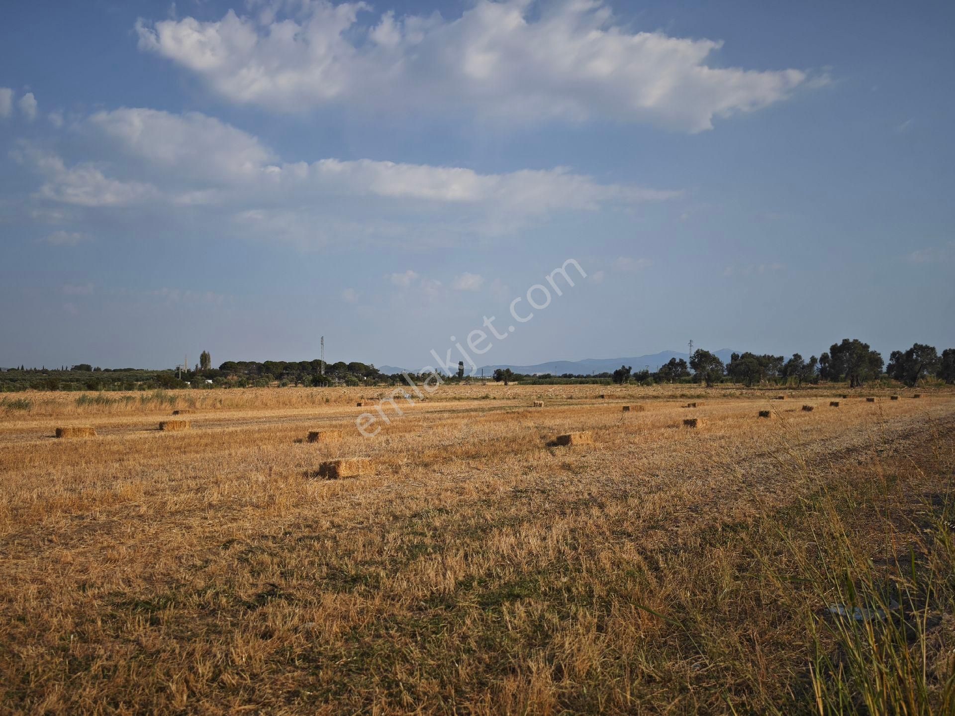 Dikili Ümmetoğlu'ndan Dikili Bahçeli'köyünde Yatırımlık Verimli Toprak Tarla - Görsel 9