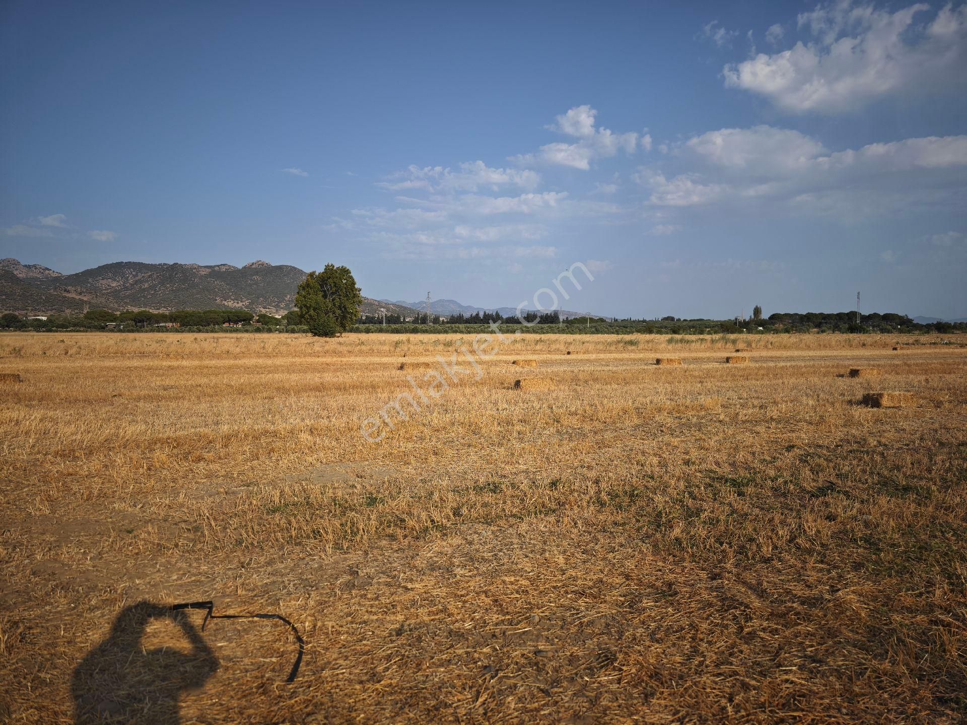 Dikili Ümmetoğlu'ndan Dikili Bahçeli'köyünde Yatırımlık Verimli Toprak Tarla - Görsel 23