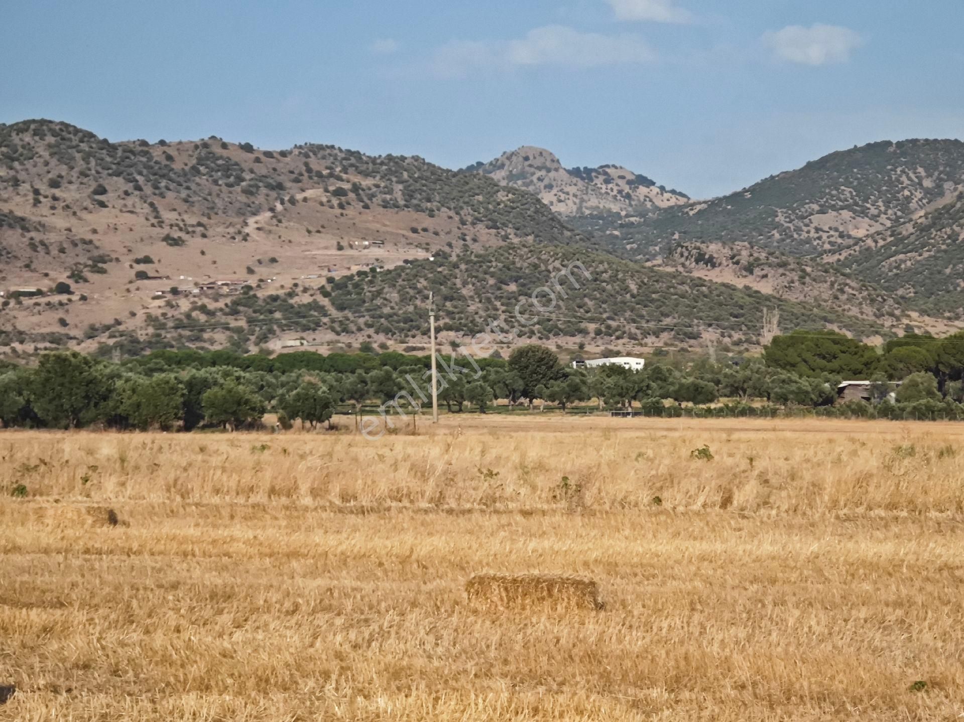 Dikili Ümmetoğlu'ndan Dikili Bahçeli'köyünde Yatırımlık Verimli Toprak Tarla - Görsel 18