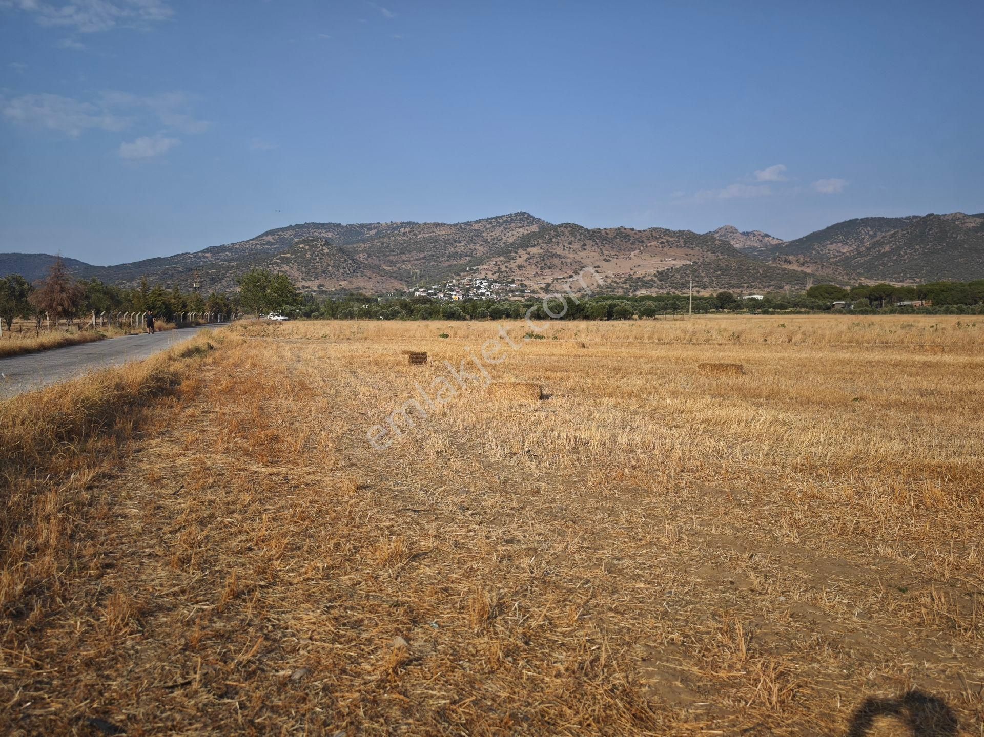 Dikili Ümmetoğlu'ndan Dikili Bahçeli'köyünde Yatırımlık Verimli Toprak Tarla - Görsel 10