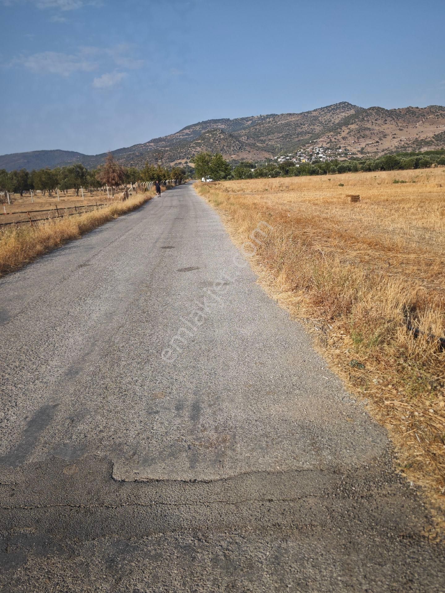 Dikili Ümmetoğlu'ndan Dikili Bahçeli'köyünde Yatırımlık Verimli Toprak Tarla - Görsel 4
