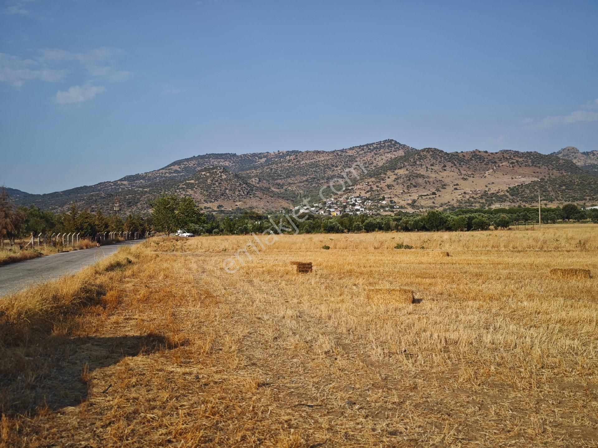 Dikili Ümmetoğlu'ndan Dikili Bahçeli'köyünde Yatırımlık Verimli Toprak Tarla - Görsel 21