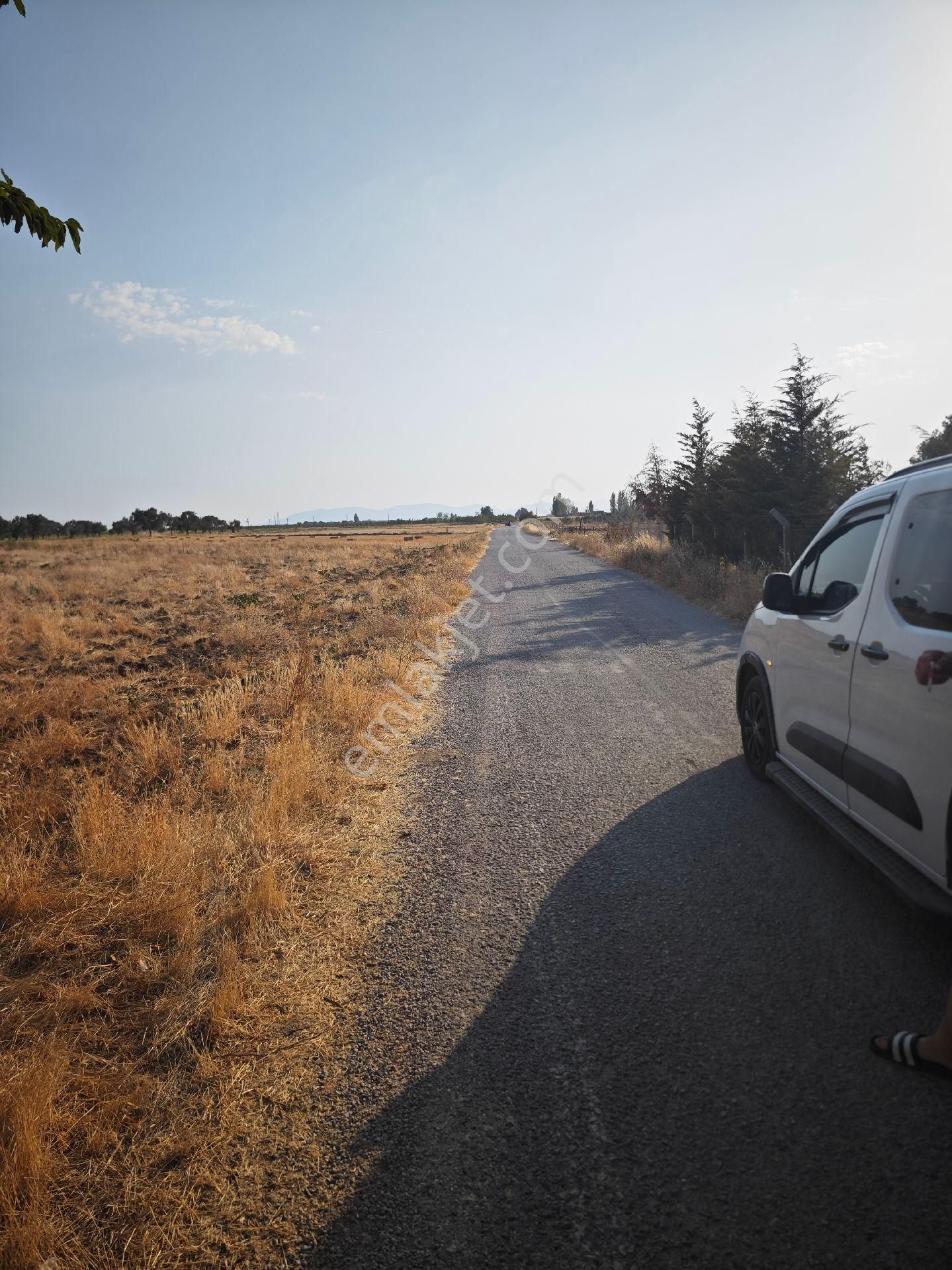 Dikili Ümmetoğlu'ndan Dikili Bahçeli'köyünde Yatırımlık Verimli Toprak Tarla - Görsel 29