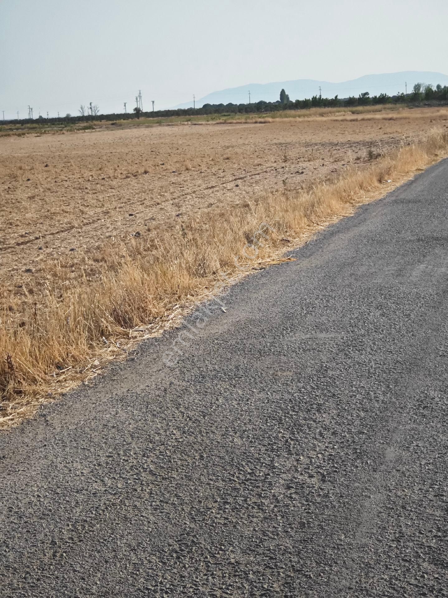 Dikili Ümmetoğlu'ndan Dikili Bahçeli'köyünde Yatırımlık Verimli Toprak Tarla - Görsel 35