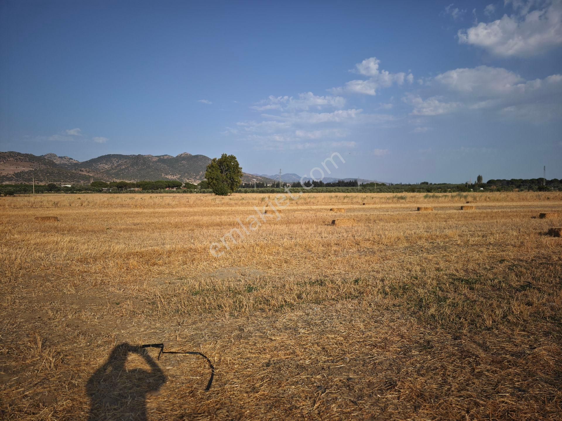 Dikili Ümmetoğlu'ndan Dikili Bahçeli'köyünde Yatırımlık Verimli Toprak Tarla - Görsel 25