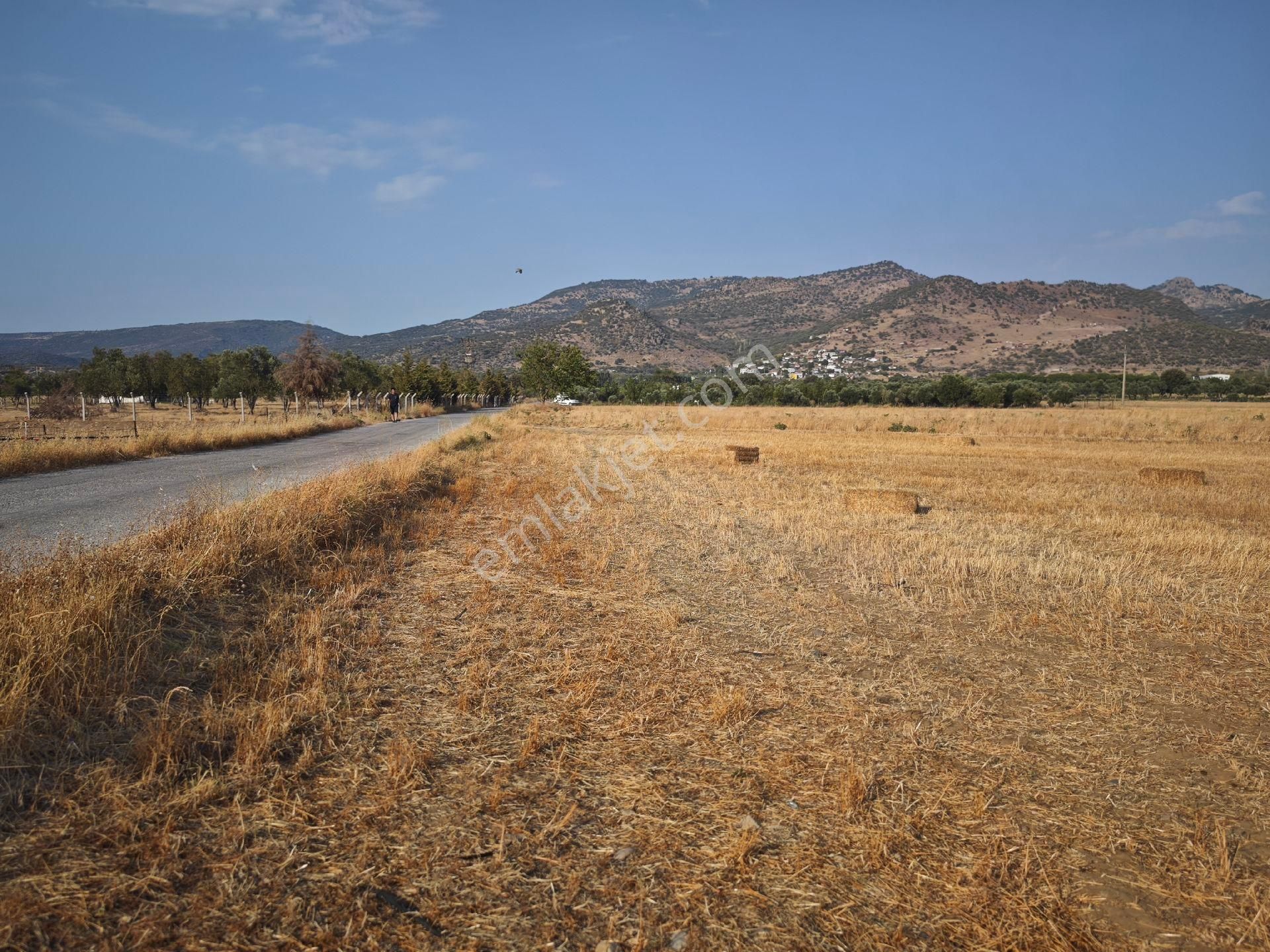 Dikili Ümmetoğlu'ndan Dikili Bahçeli'köyünde Yatırımlık Verimli Toprak Tarla - Görsel 6