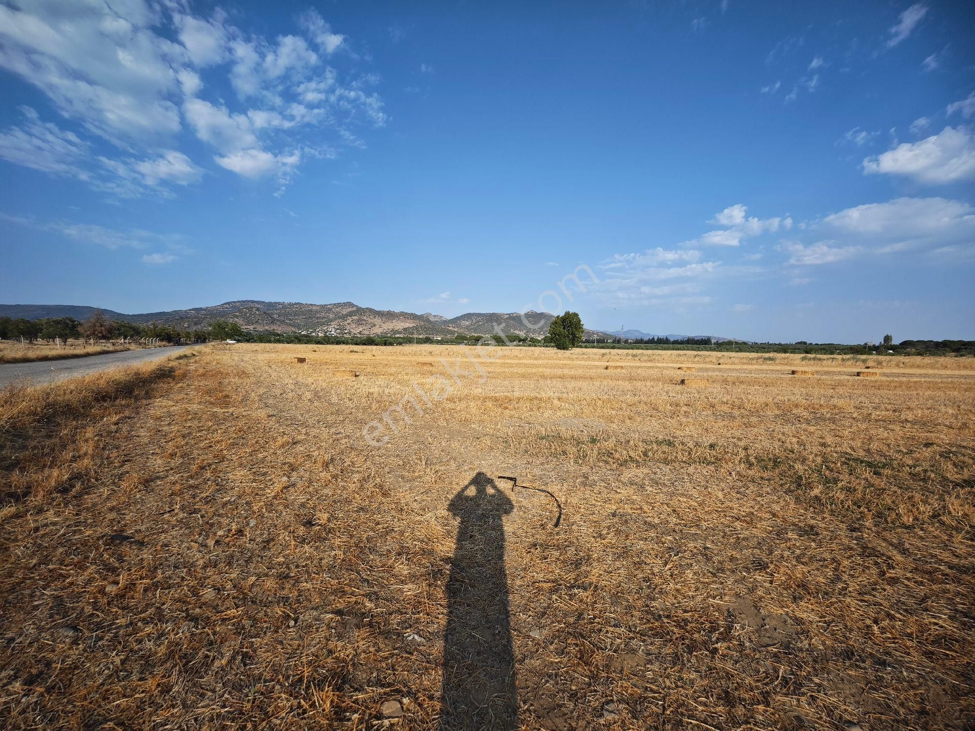 Dikili Ümmetoğlu'ndan Dikili Bahçeli'köyünde Yatırımlık Verimli Toprak Tarla - Görsel 26