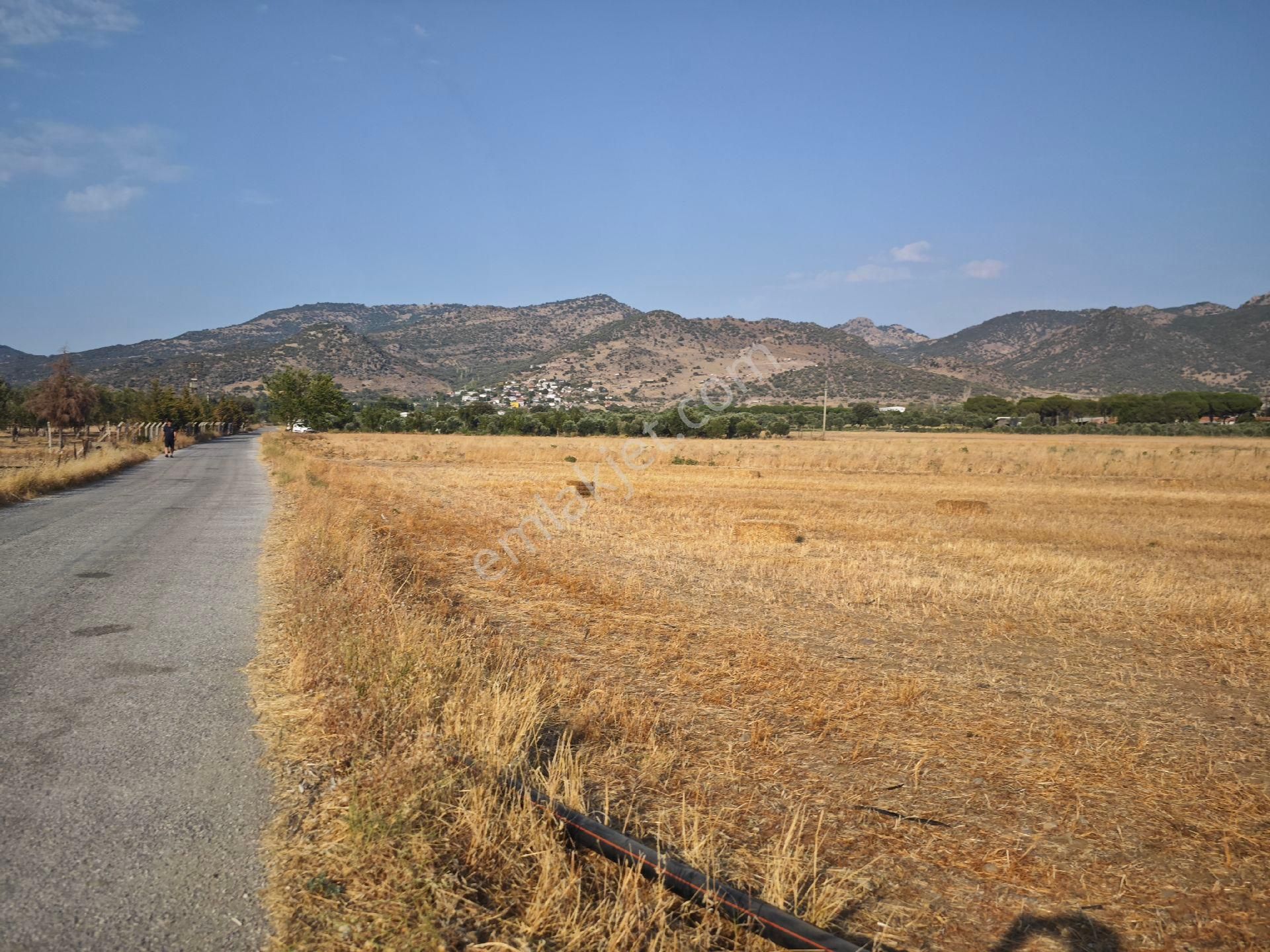 Dikili Ümmetoğlu'ndan Dikili Bahçeli'köyünde Yatırımlık Verimli Toprak Tarla