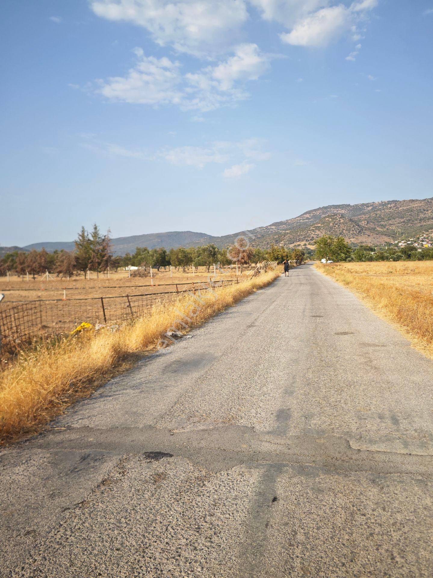 Dikili Ümmetoğlu'ndan Dikili Bahçeli'köyünde Yatırımlık Verimli Toprak Tarla - Görsel 3