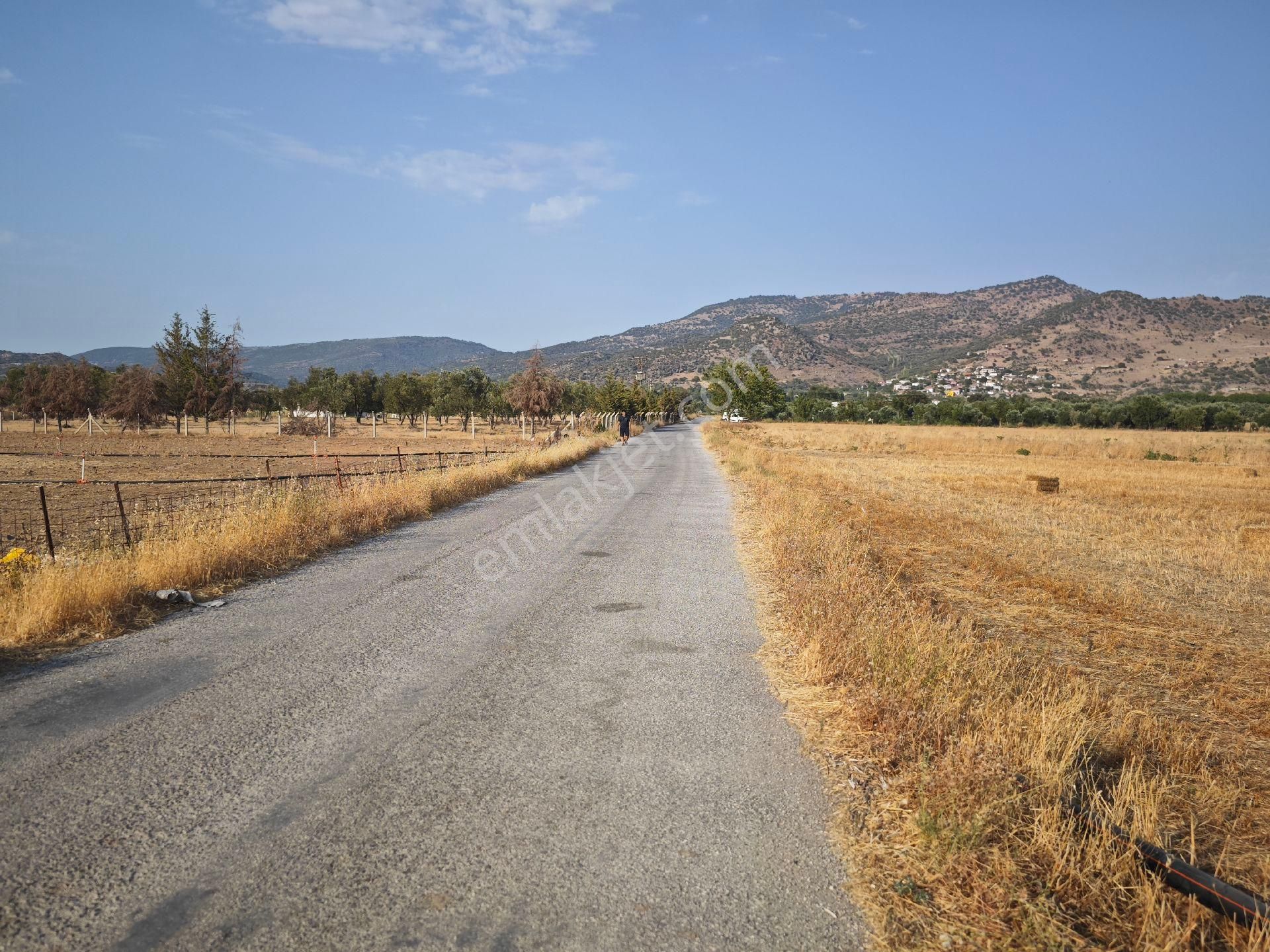 Dikili Ümmetoğlu'ndan Dikili Bahçeli'köyünde Yatırımlık Verimli Toprak Tarla - Görsel 5