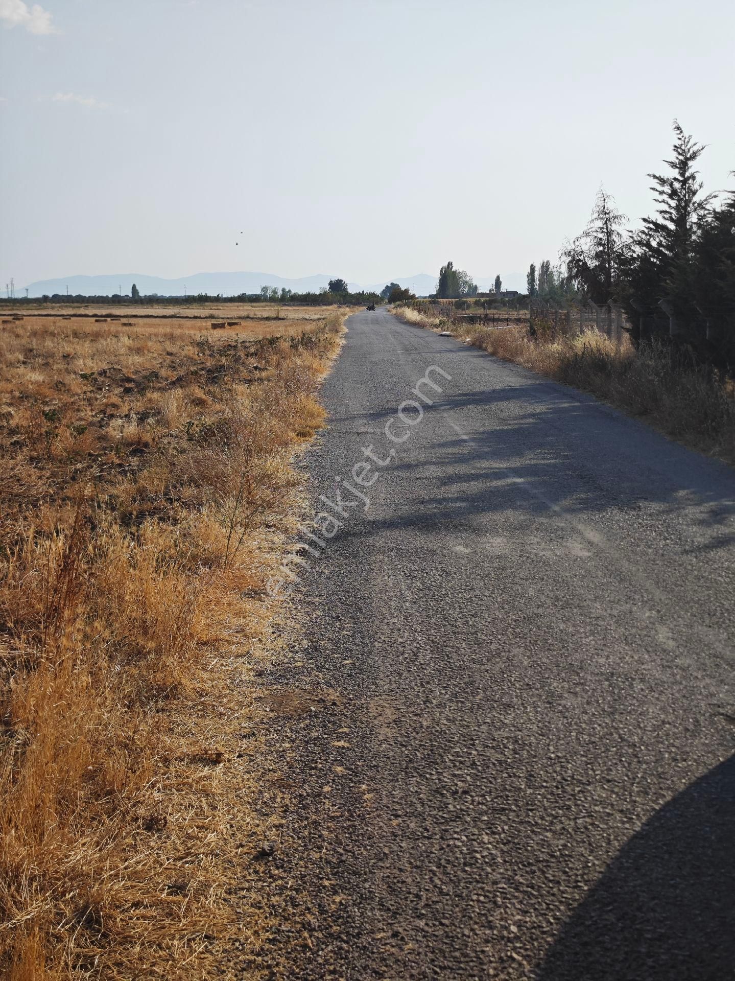 Dikili Ümmetoğlu'ndan Dikili Bahçeli'köyünde Yatırımlık Verimli Toprak Tarla - Görsel 28
