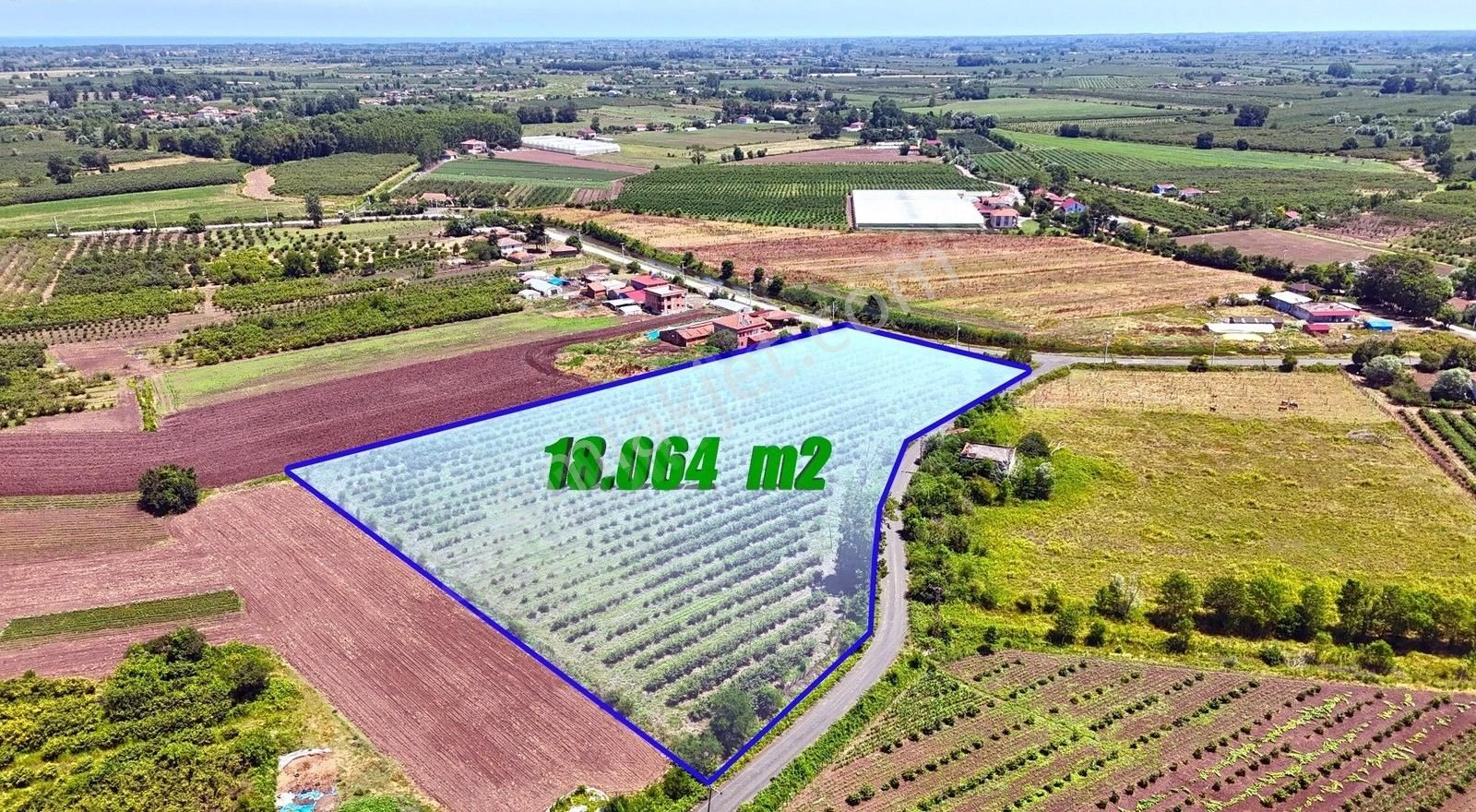 Öz-emmaxtan Ovacıkta Satılık 18.064 M2 Fındık Tarlası - Görsel 3