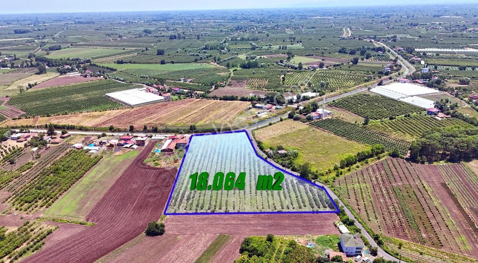 Öz-emmaxtan Ovacıkta Satılık 18.064 M2 Fındık Tarlası - Görsel 2