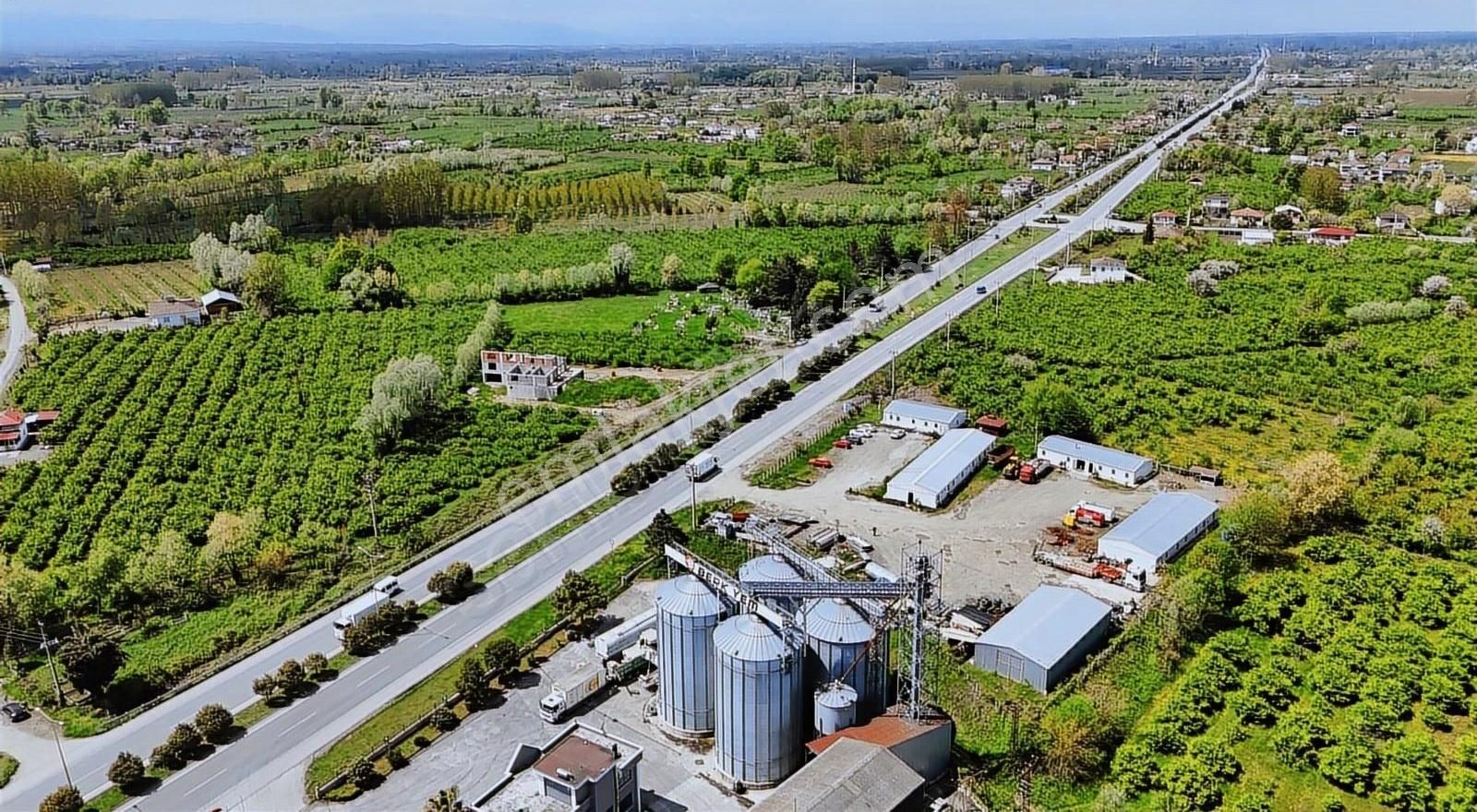 Öz-emmaxtan Samsun-ordu Yoluna Cephe Tek Tapulu Fırsat Arazi