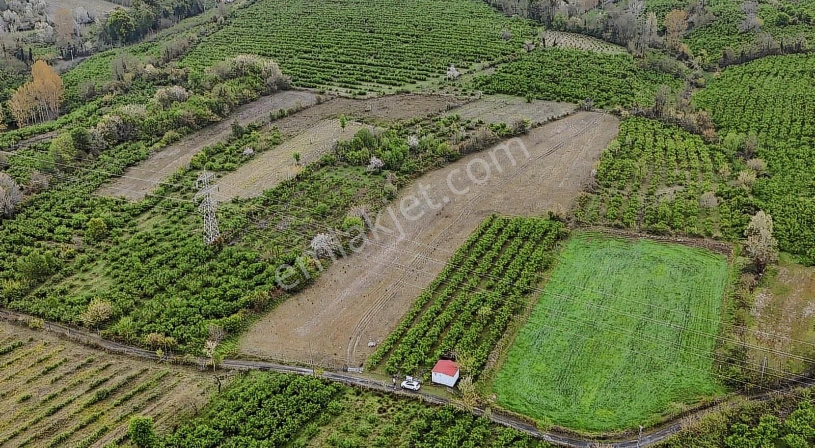 Öz-emmax Gayrimenkulden 13500 M2 Satılık Tarla - Görsel 4