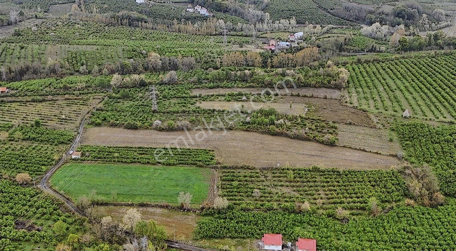 Öz-emmax Gayrimenkulden 13500 M2 Satılık Tarla - Görsel 3