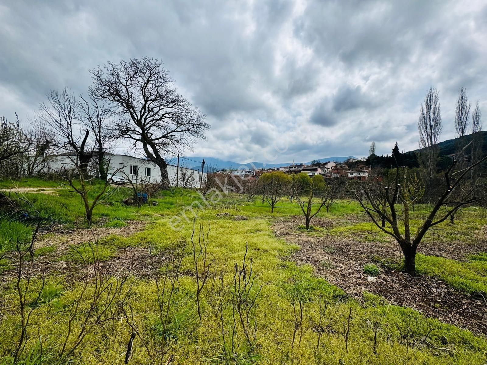 Aracısız Sahibinden.