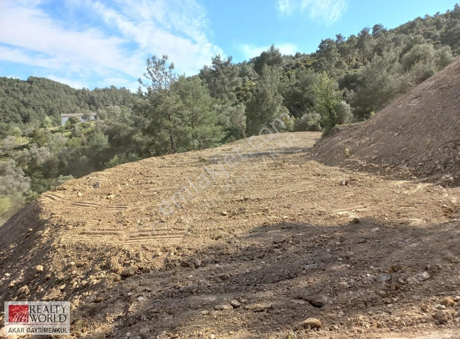 Rw Akar'dan Orhanlı Da Zeytin Ağaçlı Tarla Vasfında Arazi - Görsel 4