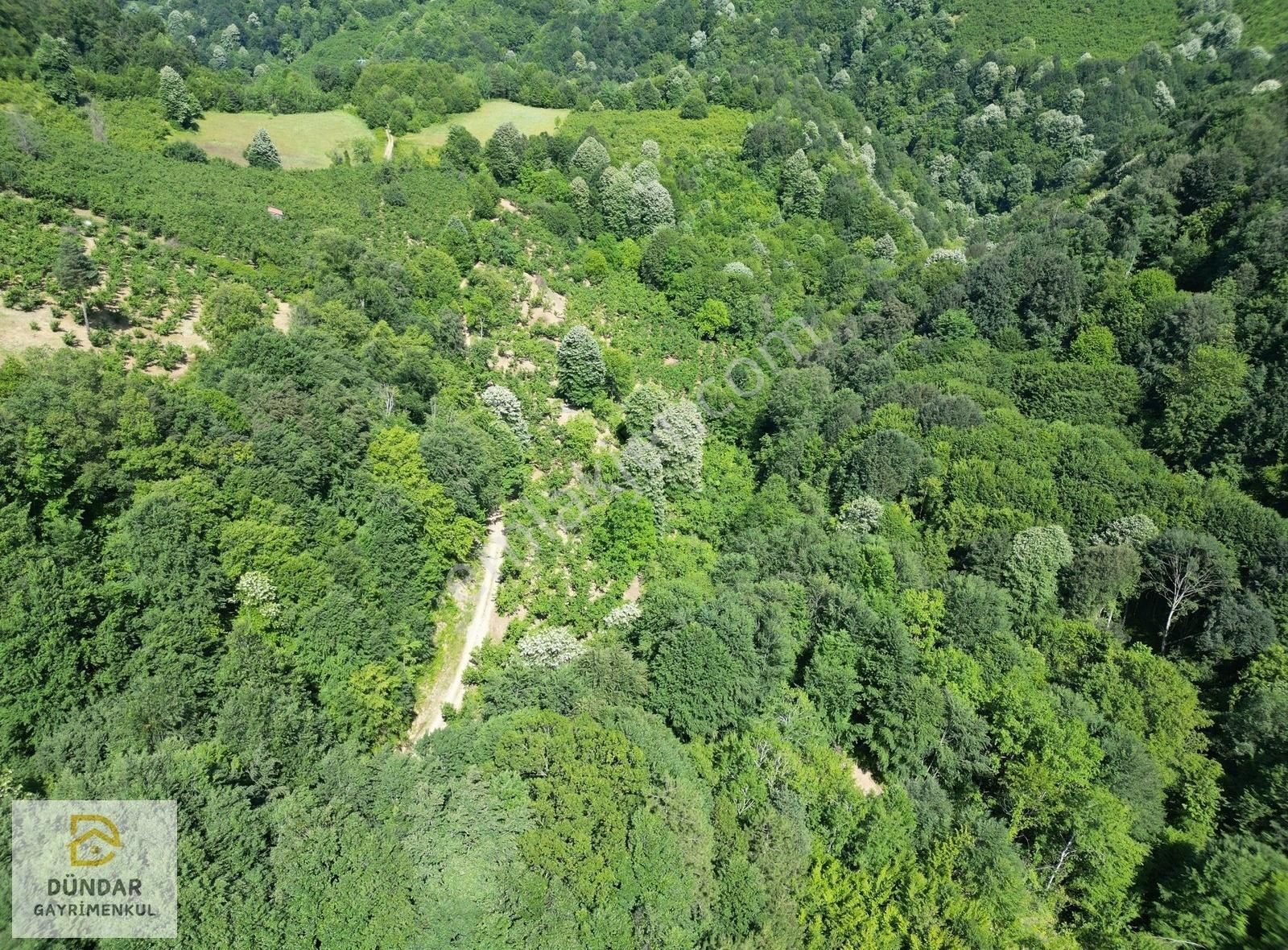 Dündar Gayrimenkul'den Acil Karaderede Fırsat Fındıklık 20 Dönüm - Görsel 23