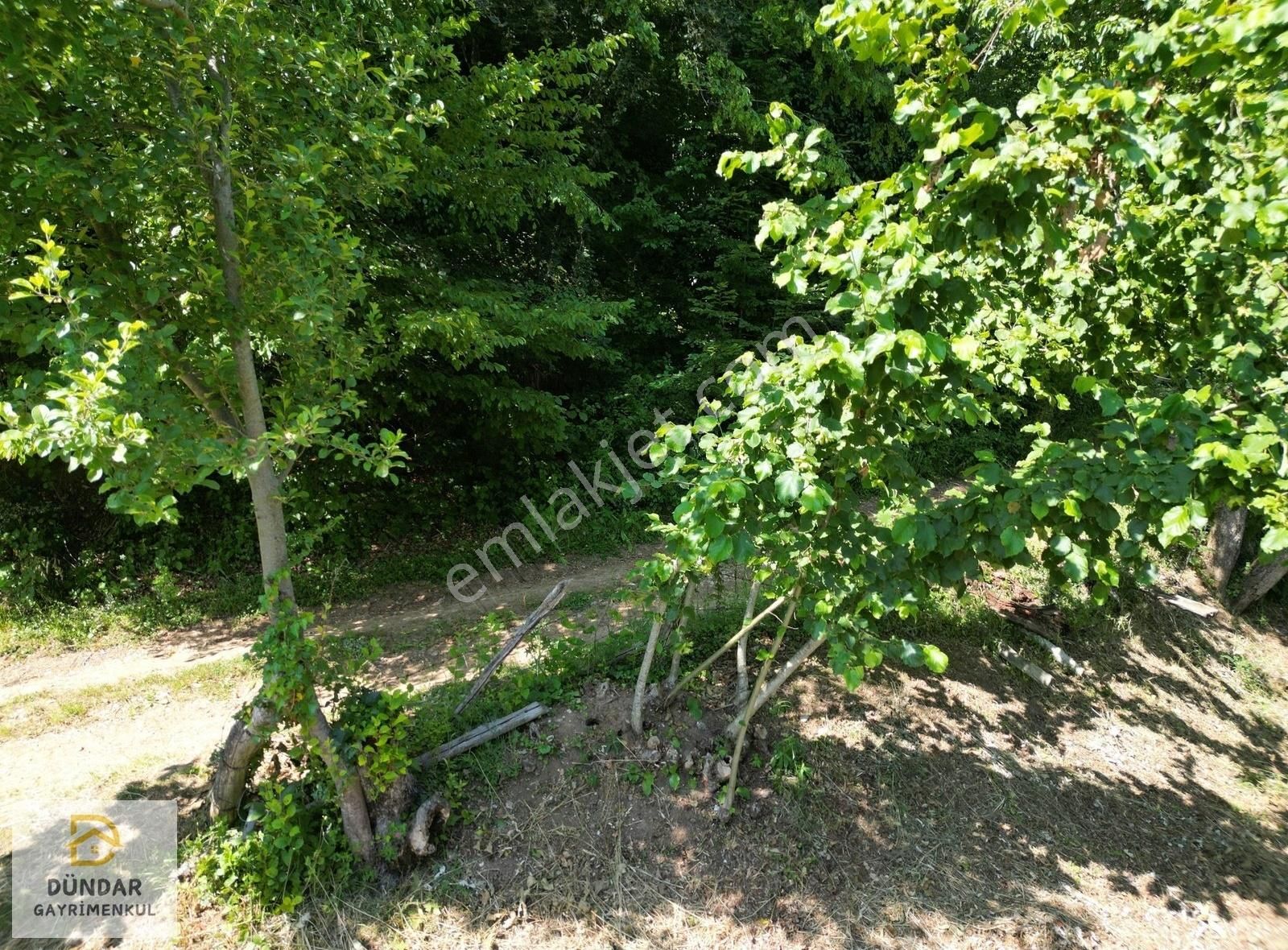 Dündar Gayrimenkul'den Acil Karaderede Fırsat Fındıklık 20 Dönüm - Görsel 4